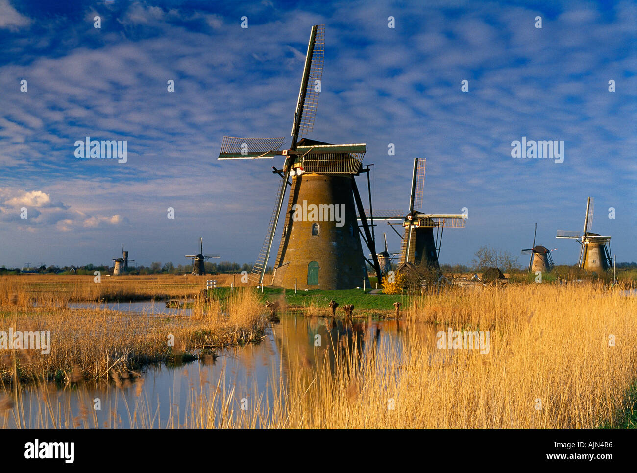 Windmühlen von Kinderdijk Holland Stockfoto