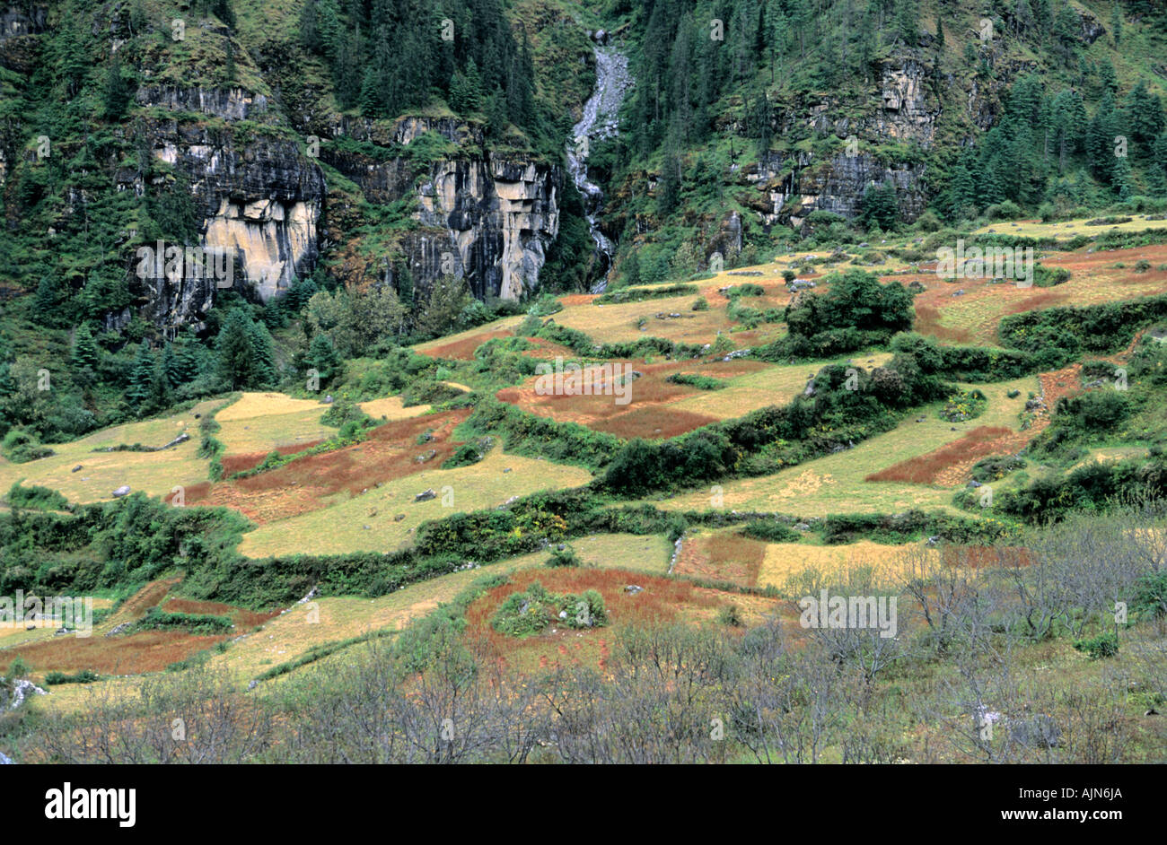 Landwirtschaftliche Flächen in Dharapani Umgebung Nepal Annapurna Conservation Area Stockfoto