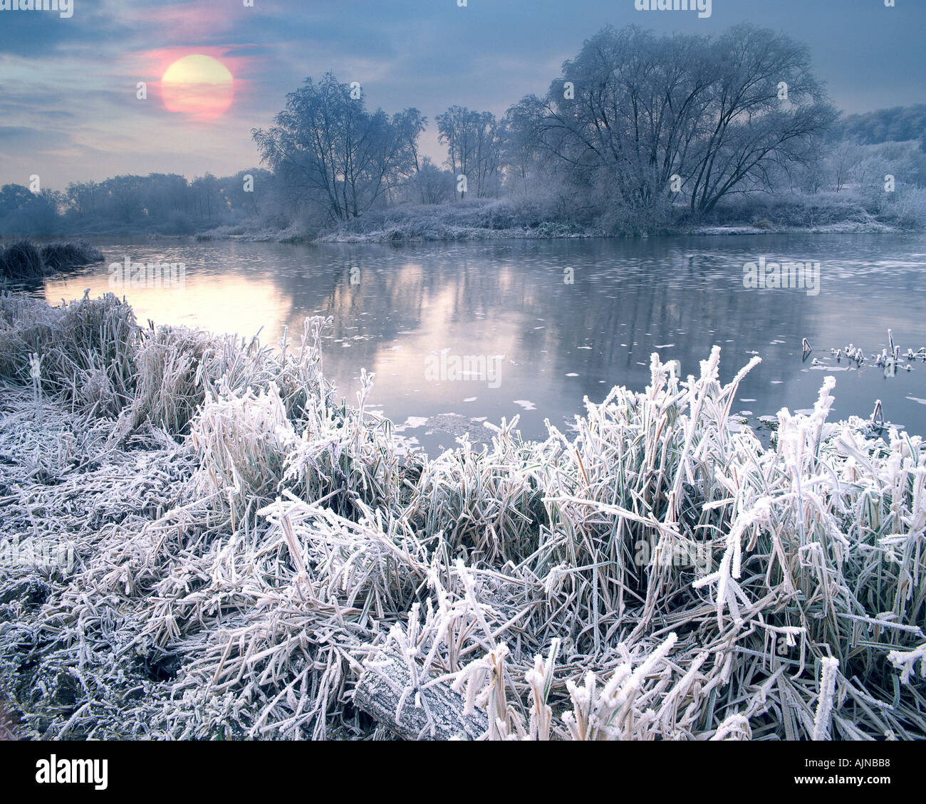 GB - WORCESTERSHIRE: Winter entlang Fluß Avon Stockfoto