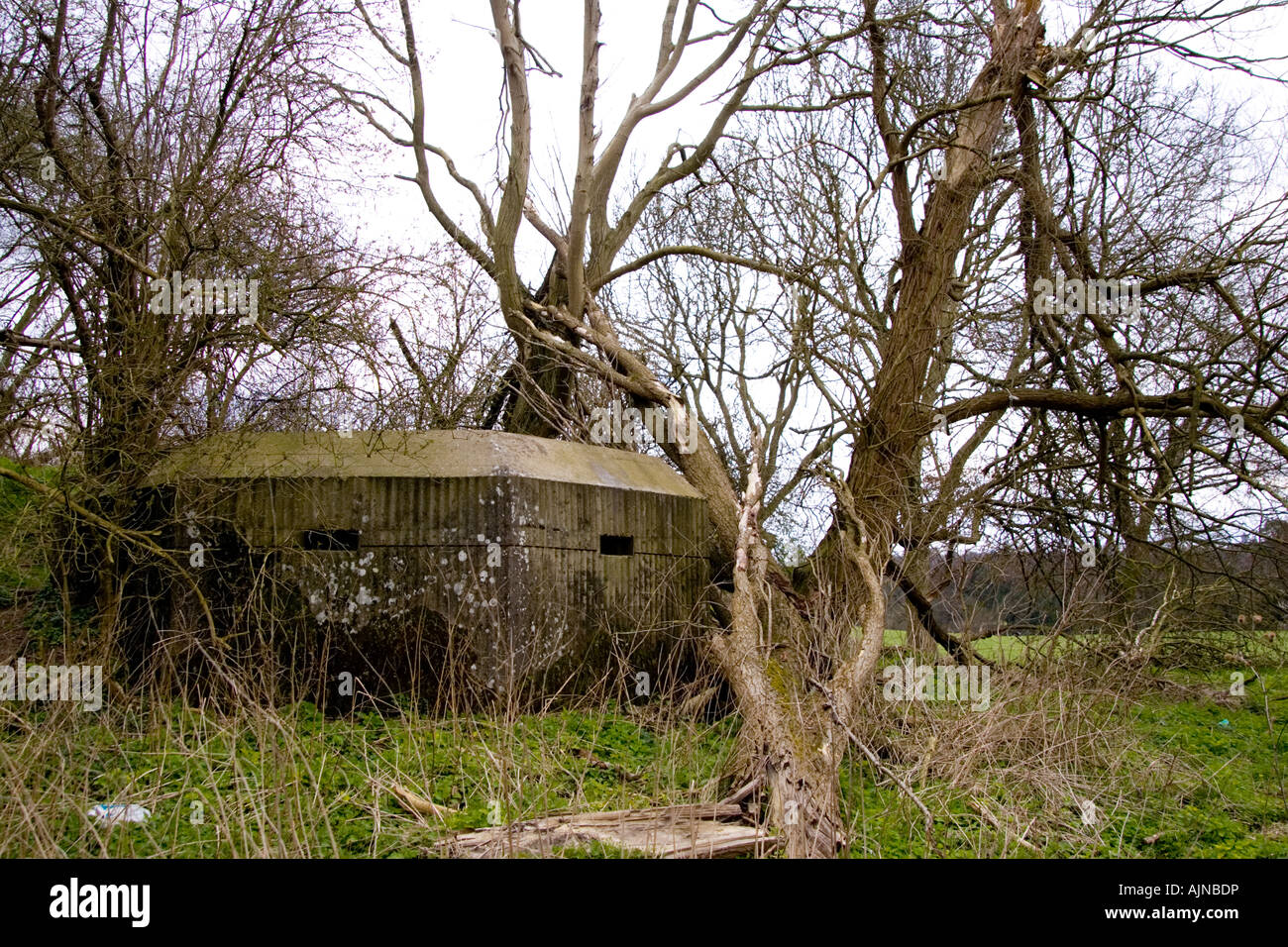 2. Weltkrieg Bunker Bunker am Box HIll, Surrey, UK Stockfoto