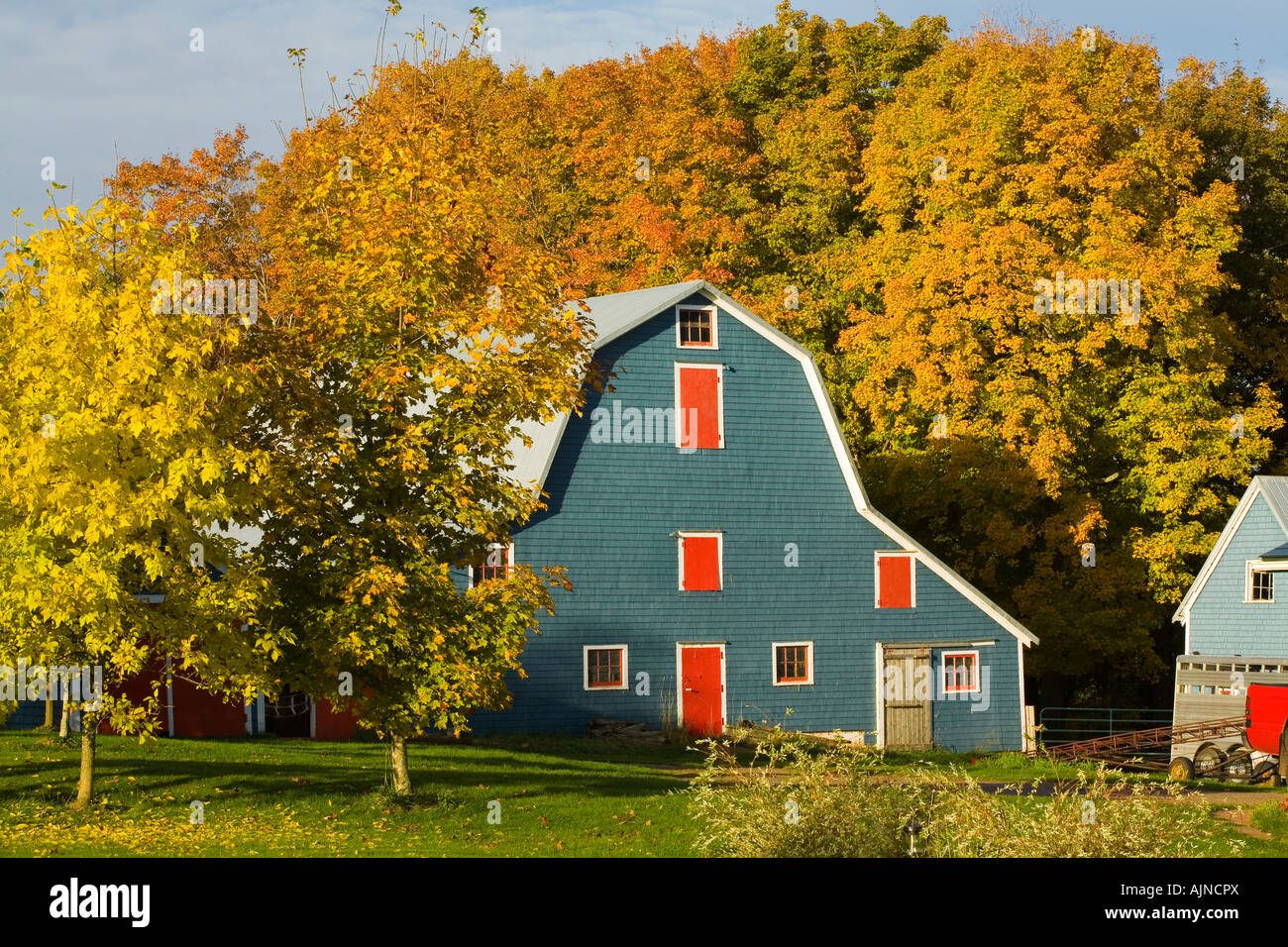 Scheune und Bäume, Herbst, Prince Edward Island, Canada Stockfoto