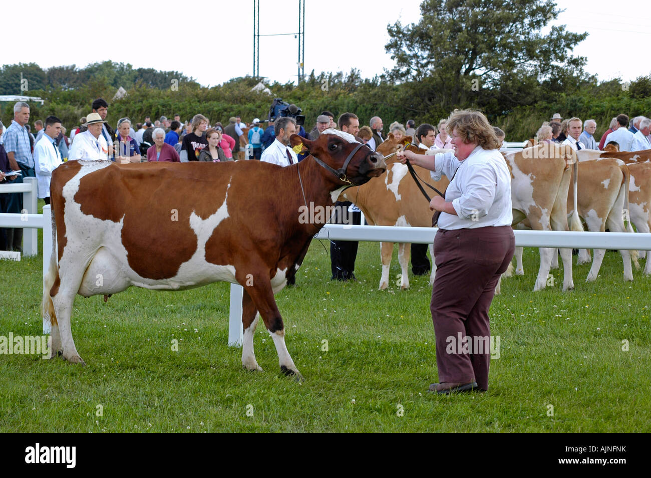 Agrarmesse, cornwall Stockfoto