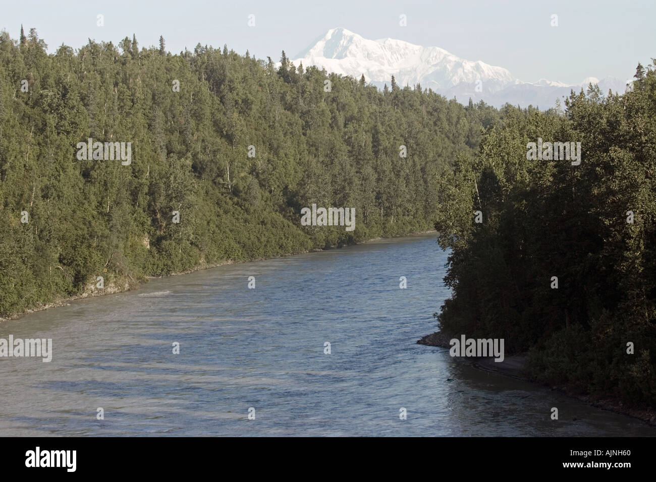 Mount McKinley wie aus dem Süden mit dem Chulitna Fluss im Vordergrund zu sehen Stockfoto