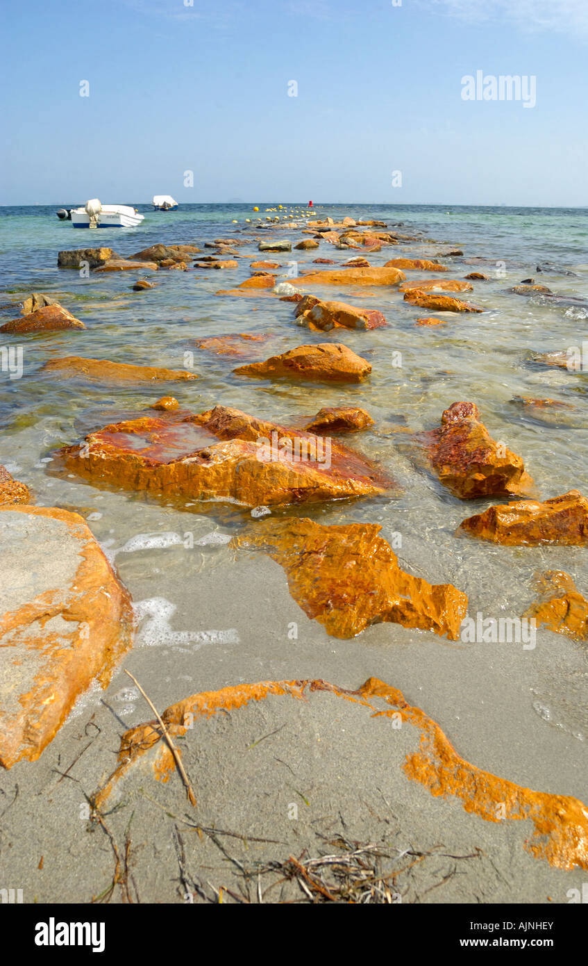 Felsen in der flachen Salzwasser-Lagune, bekannt als das Mar Menor (kleines Meer) in Los Alcazares, Murcia, Ostküste von Spanien Stockfoto