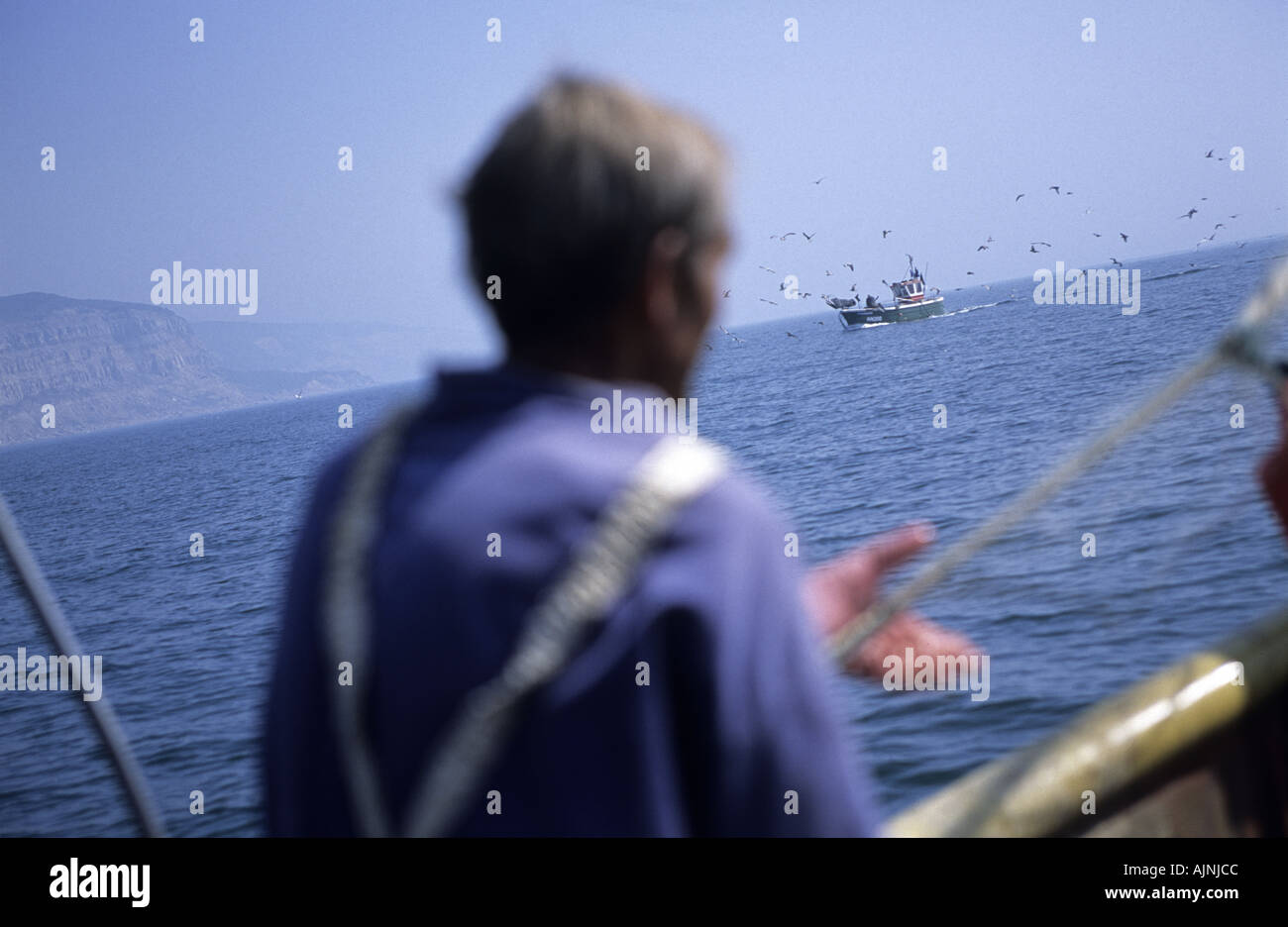 Makrelen angeln Hastings England Stockfoto