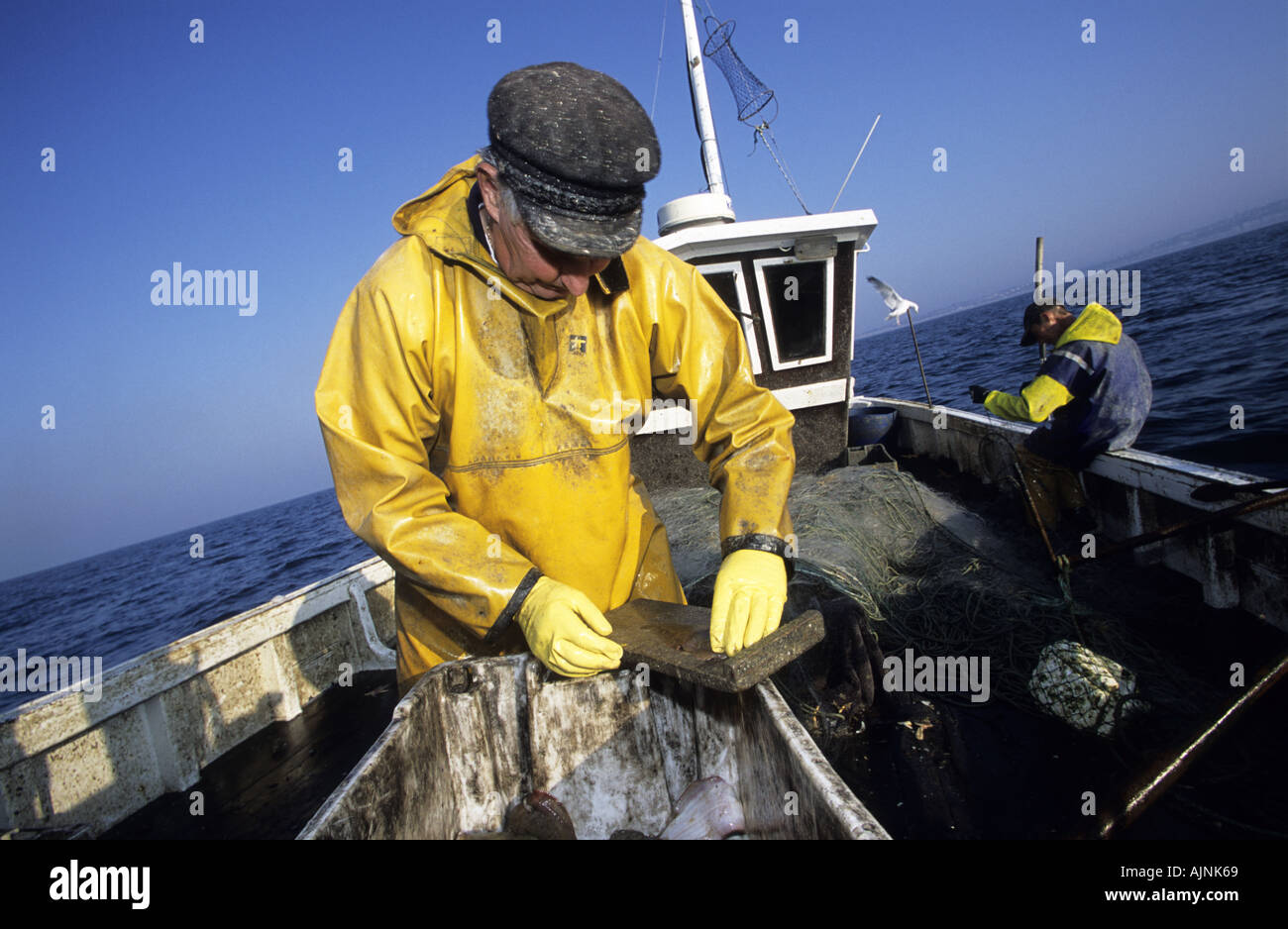 Messung der Größe von einer Seezunge Fischer fangen zur Einhaltung der EU-Verordnungen, Hastings, England Stockfoto