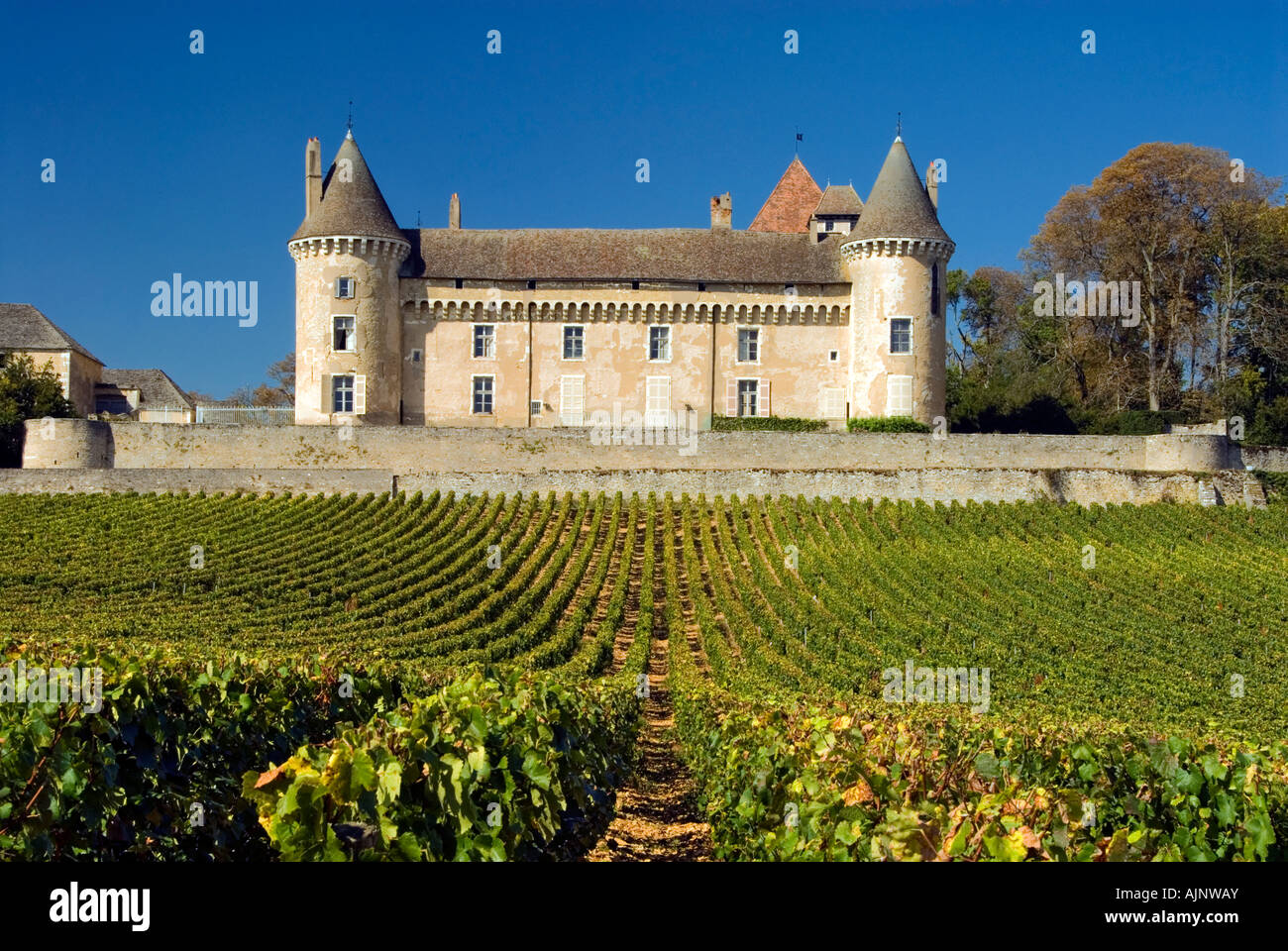 Chateau de Rully, mit Antonin Rodet Weinberg, Chalon-sur-Saône, Saône-et-Loire, Frankreich. Cote Chalonnaise. Stockfoto