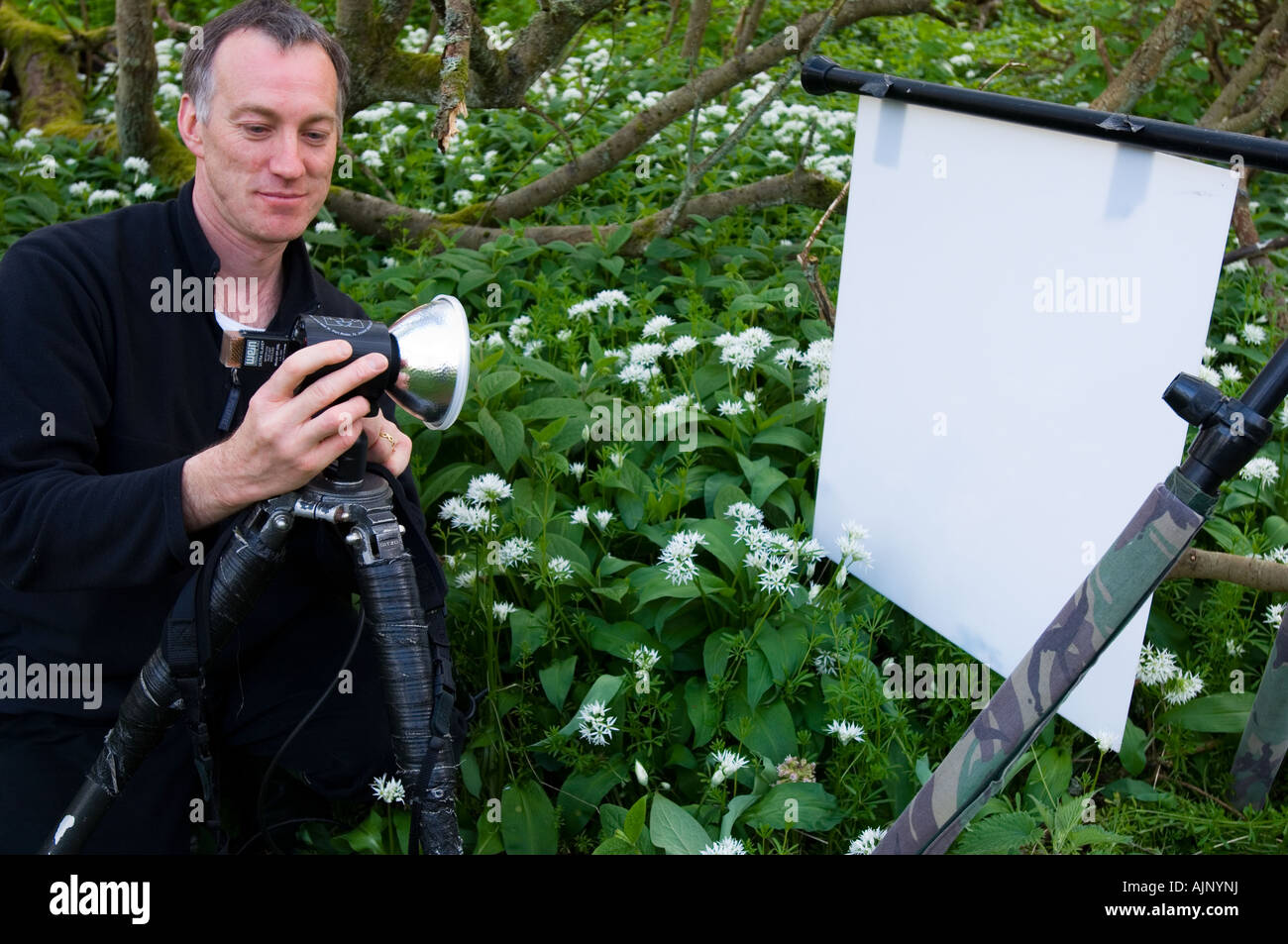 Positionierung des Blitzes hinter der Plexiglas-Blatt Stockfoto