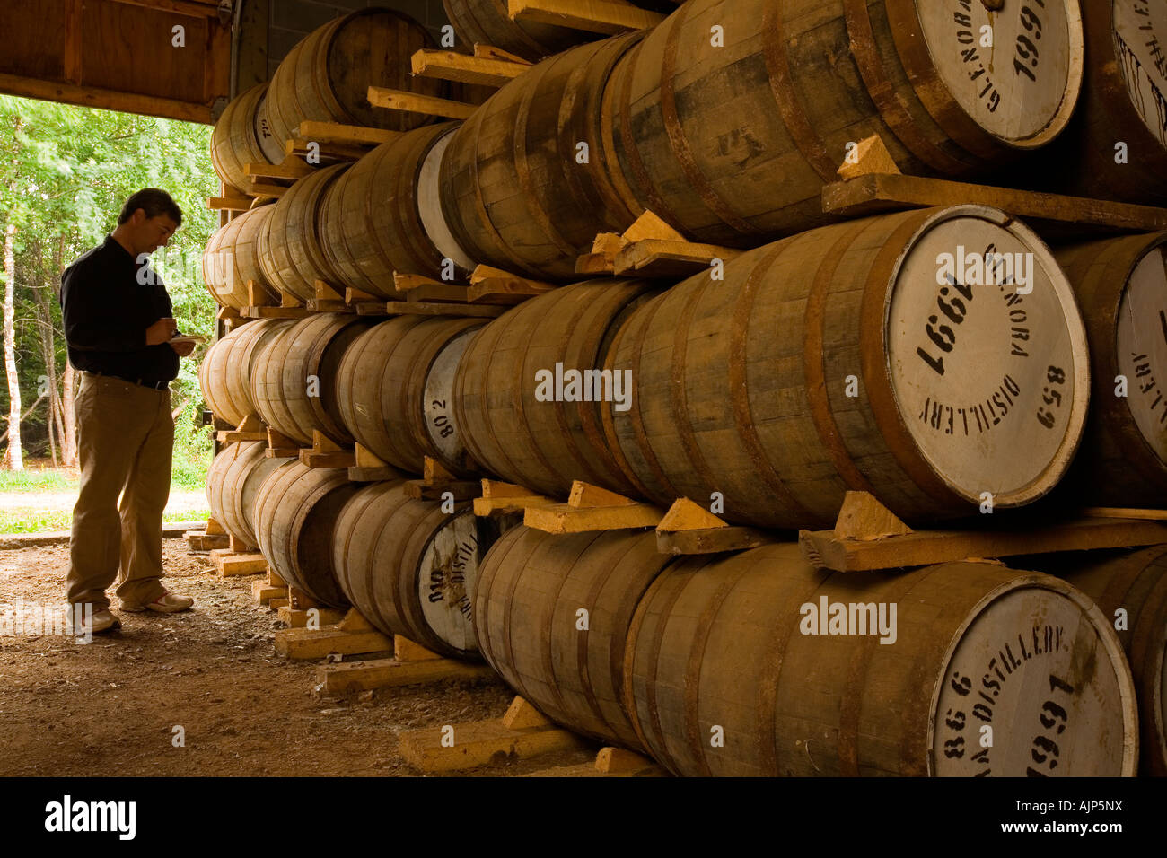 Fässer des Alterns single malt Whisky, Glenora Brennerei, Cape Breton Island, Nova Scotia, Kanada. Stockfoto