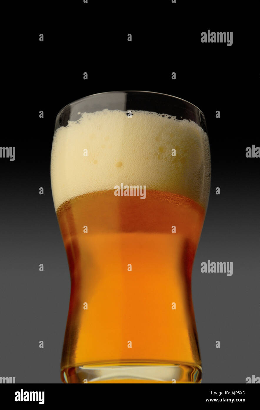 BIER PINT GLAS BIER LAGER AUF GRAUEM HINTERGRUND Stockfoto