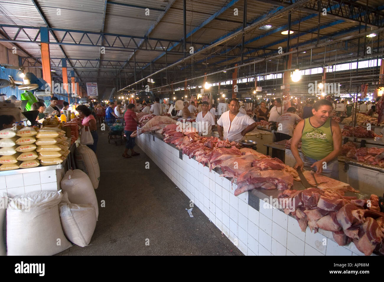Fischmarkt Manaus Amazonas Brasilien Stockfoto