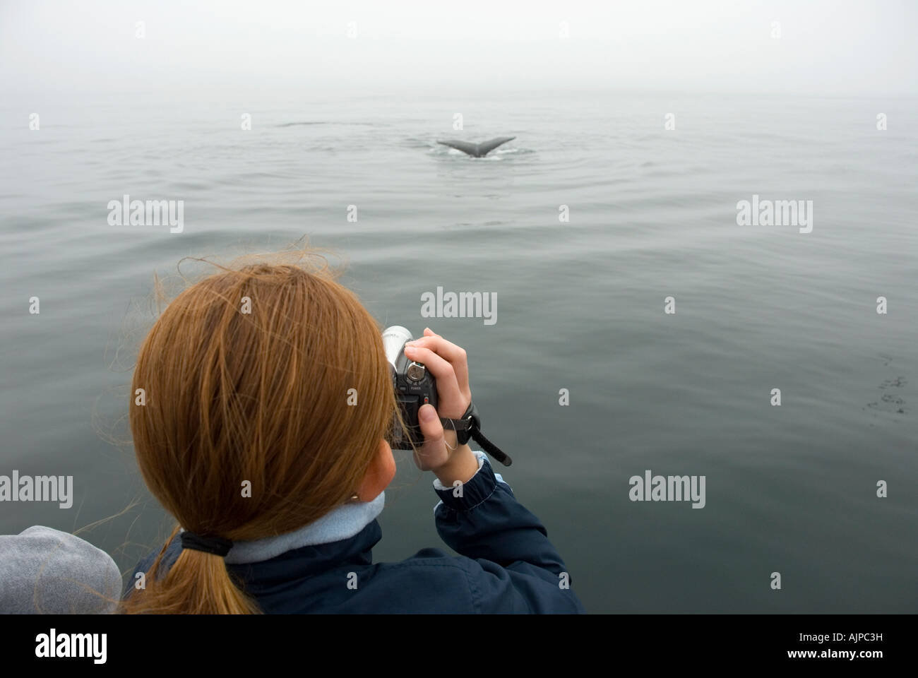 Ginger Mädchenakt Fotografieren ein Buckelwal auf eine Whale-watching-Tour vor der Küste von Neuengland Stockfoto