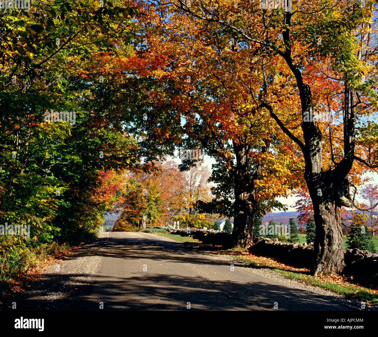 Straße im Herbst Stockfoto