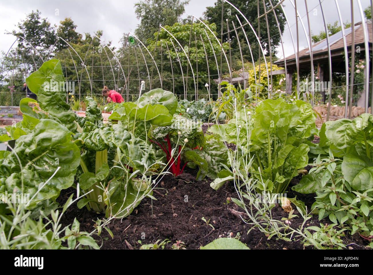 Biodynamischer Garten Garten Bio, Ryton, Warwickshire Stockfoto