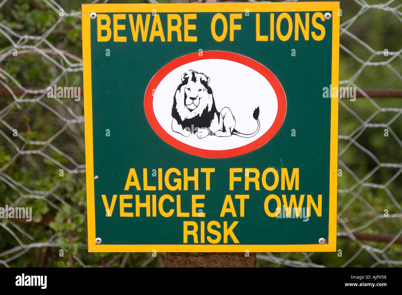 Südafrika Addo Elephant National Park Vorsicht bei Löwen Zeichen Stockfoto