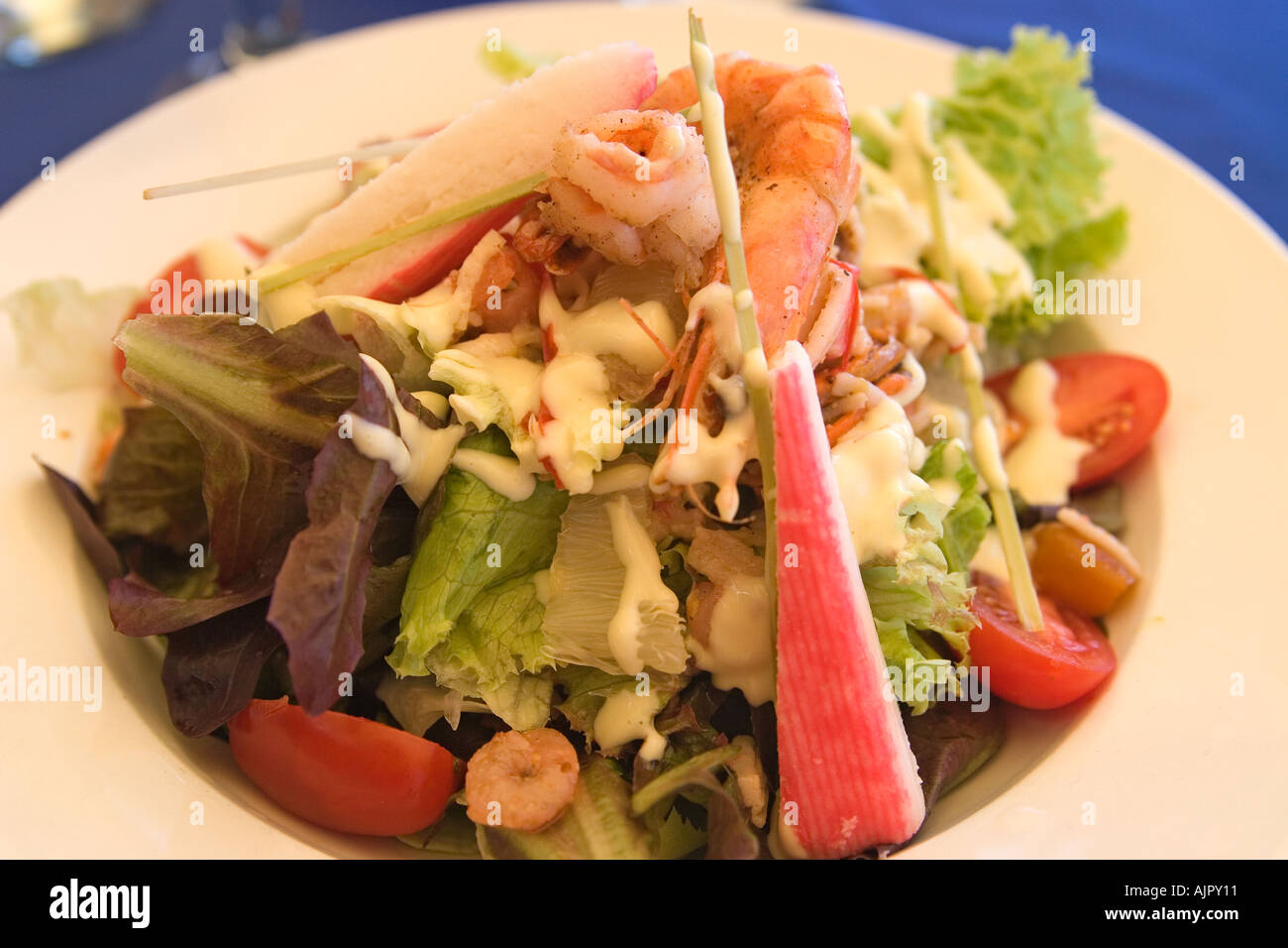 Südafrika Meer essen Salat Westkap Stockfoto