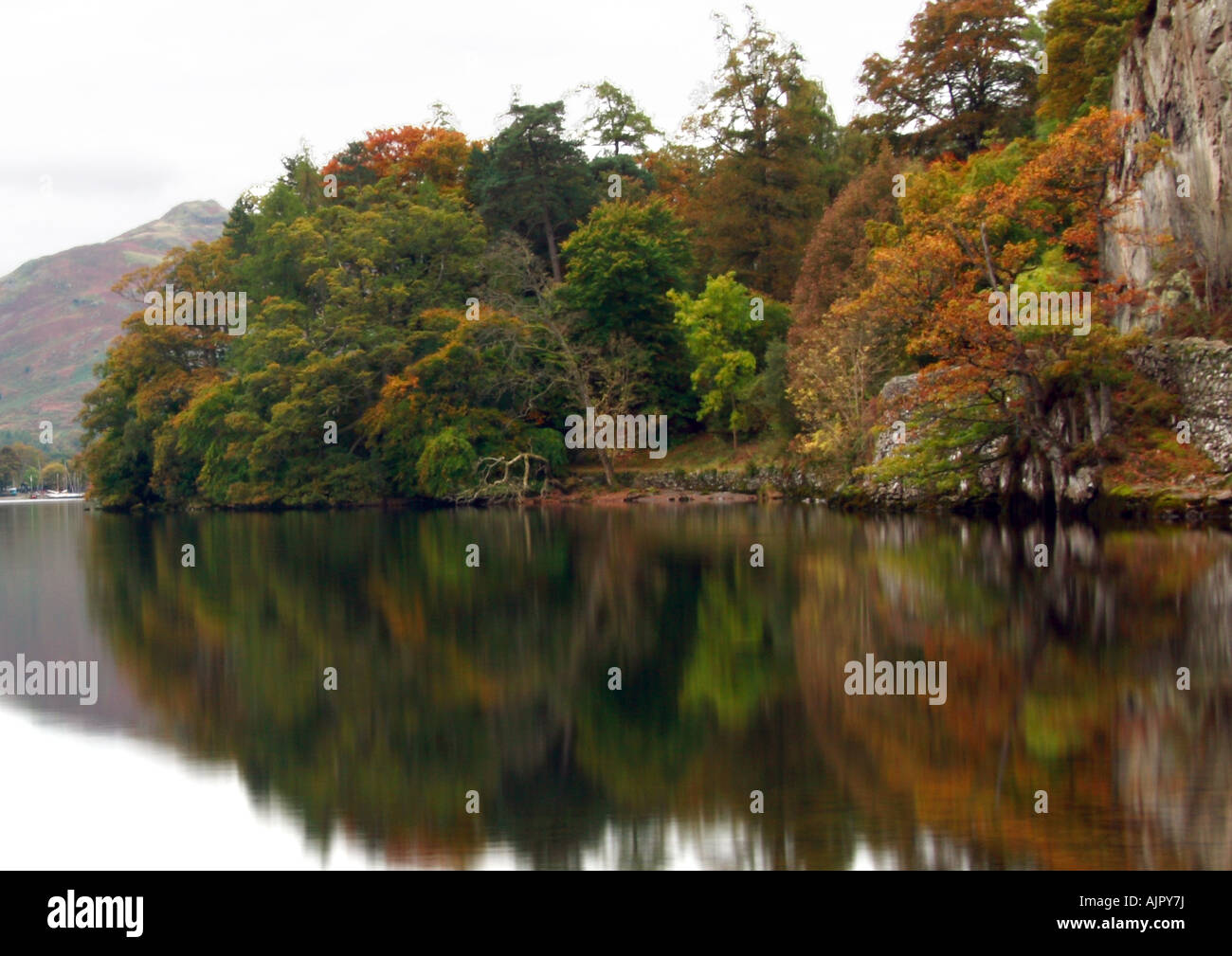 Das Stille Wasser des Ullswater reflektieren den Wald am Ufer. Stockfoto