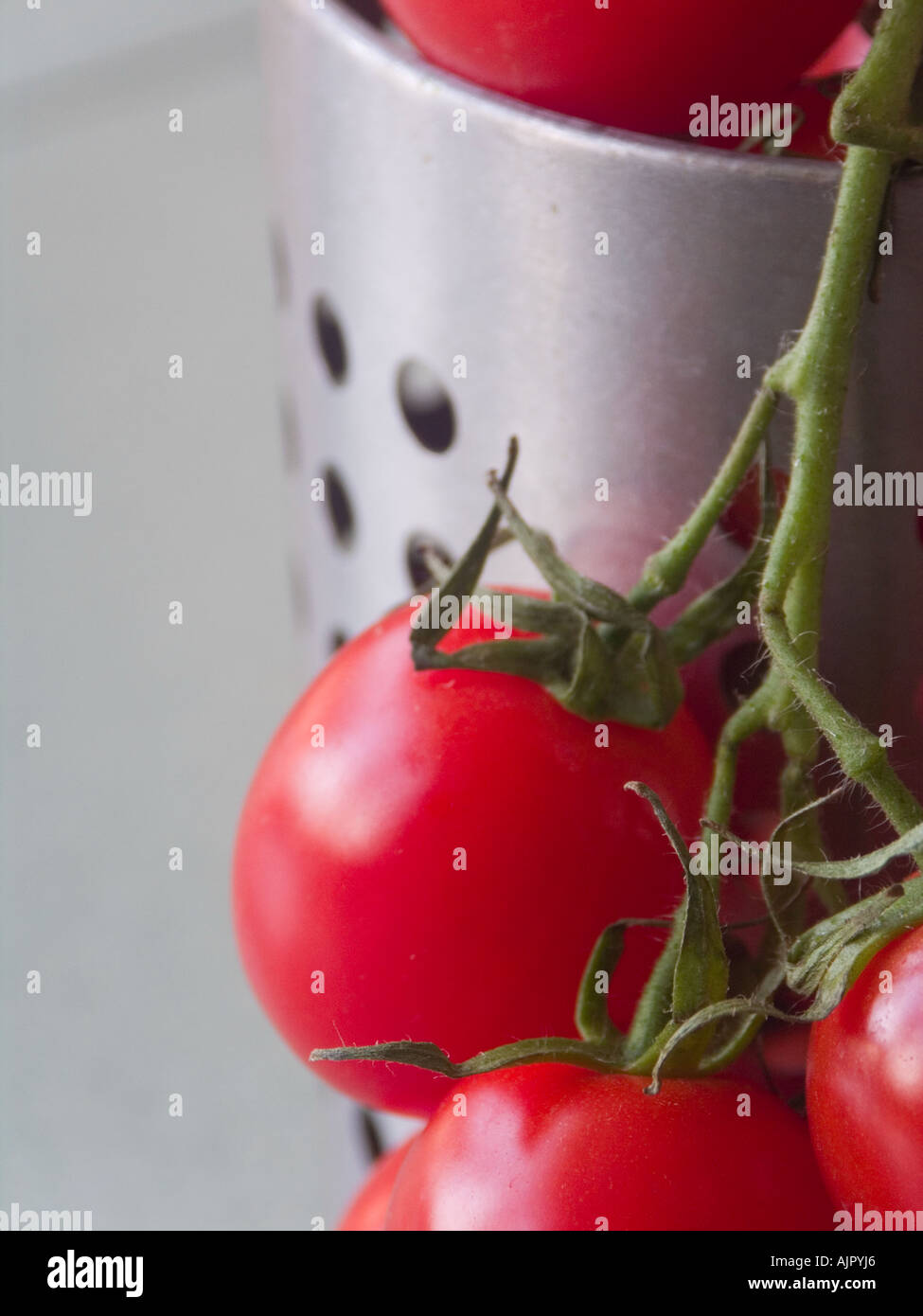 kleine typische Kirsche rote Tomaten aus Sorrent Neapel südlich von Italien Stockfoto