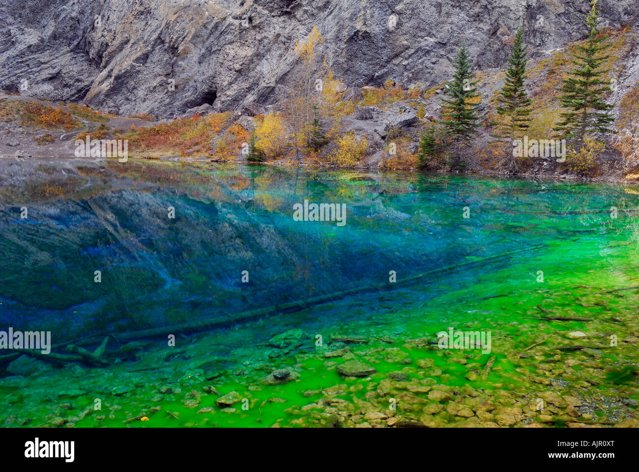 Blaue und grüne Algen in den klaren Indigo und fluoreszierenden grünen Wasser von Grassi Lakes Canmore Alberta, Kanada Stockfoto