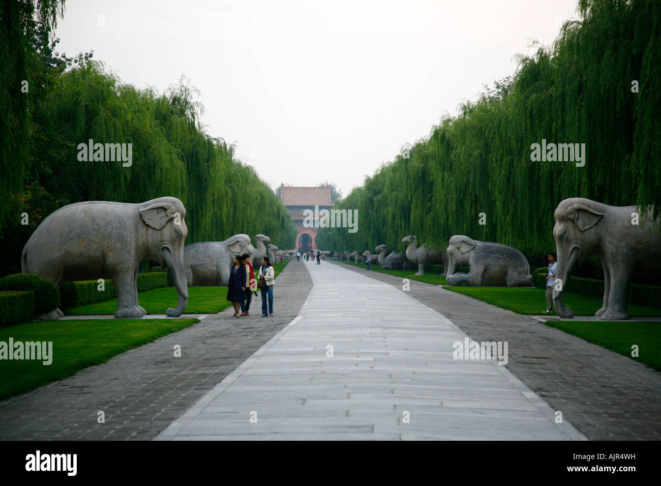 Der Heilige Pfad Ming Gräber Peking Bezirk China Stockfoto