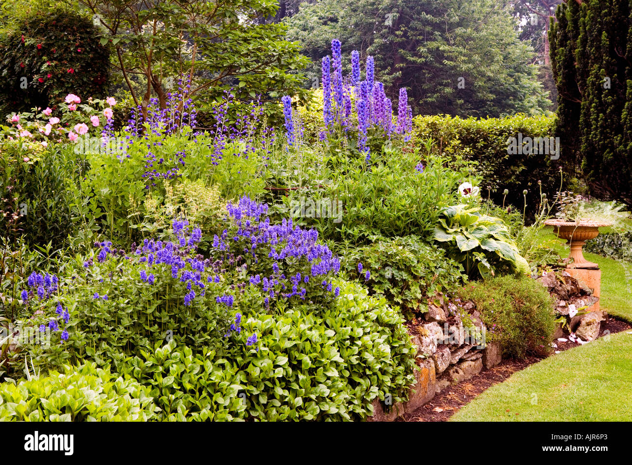 Krautige Grenze bei Broadleas Garten, Devizes, Wiltshire, England, UK Stockfoto