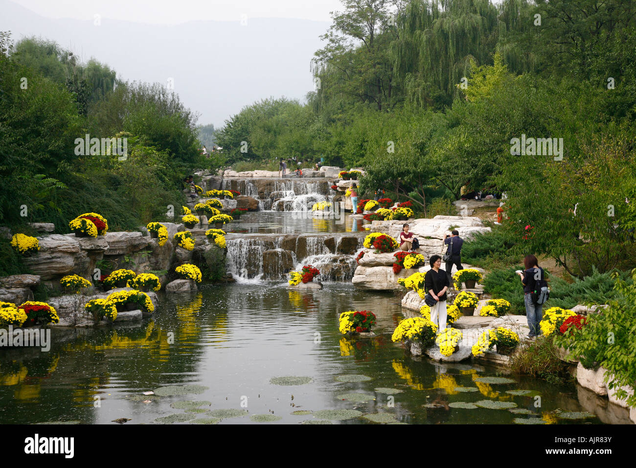 Peking Beijing botanischen Gärten Stockfoto