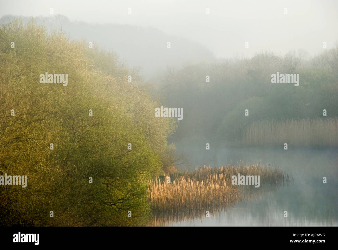 Morgennebel über dem Fluß Quoile, Downpatrick, Nordirland Stockfoto