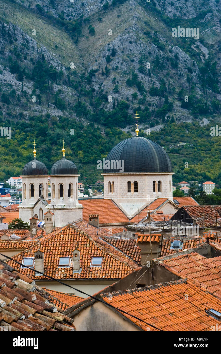 Altstadt von Kotor, Montenegro betrachten über. Die Kuppeln der St. Nikolaus-Kirche sehen über den roten Dächern Stockfoto