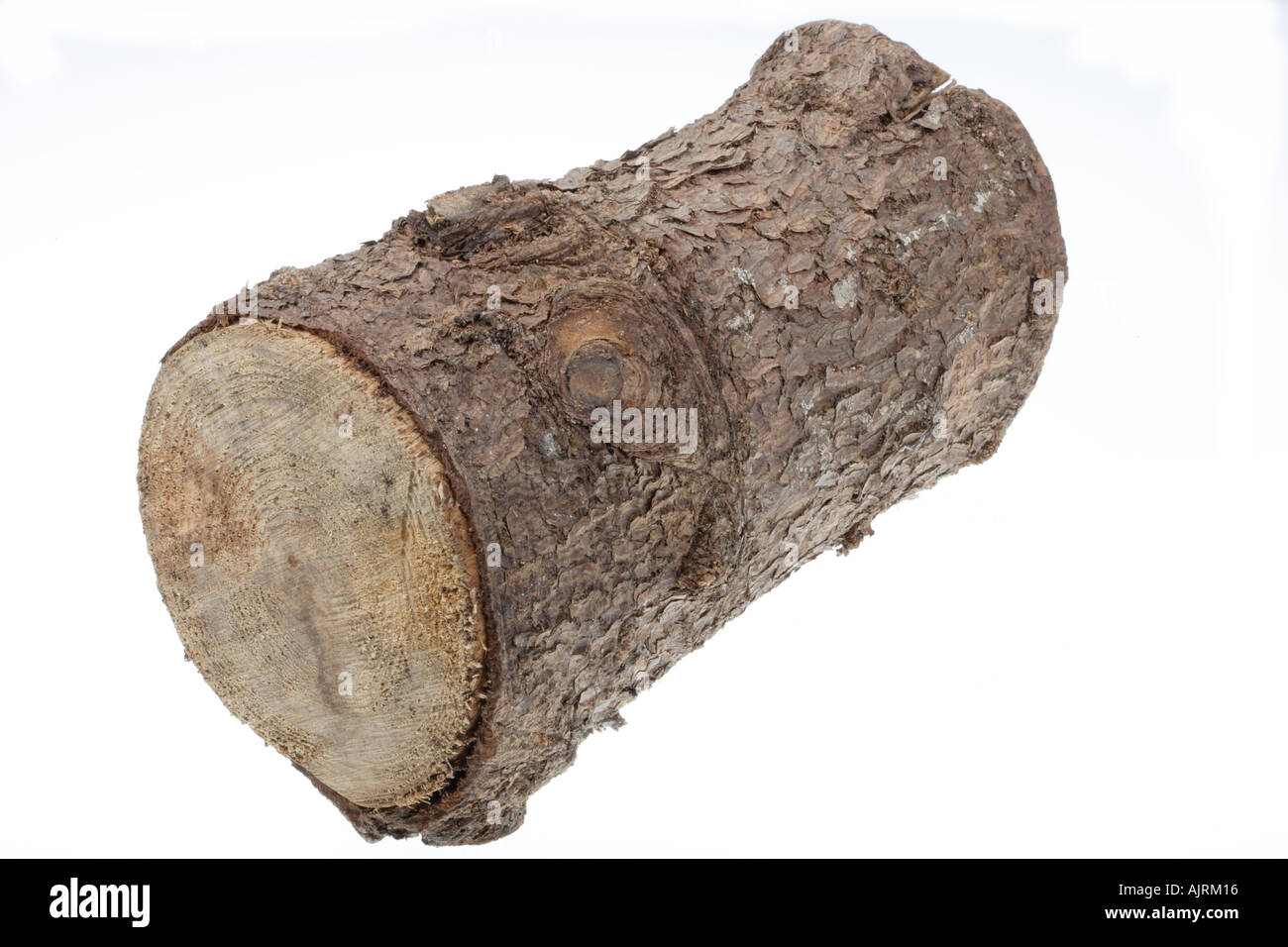 Holz Baum Log Kiefer Stockfoto