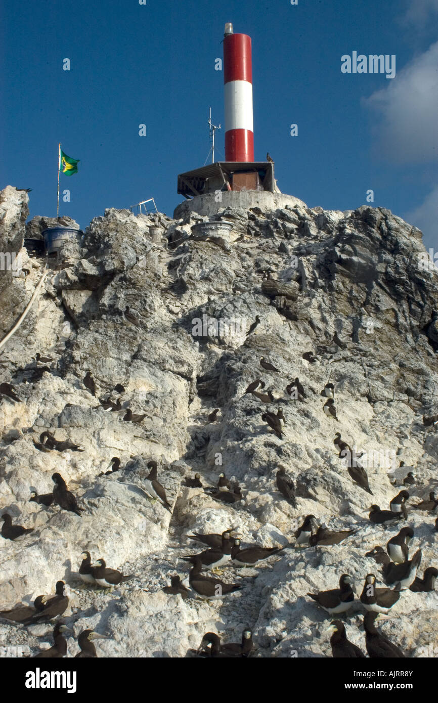 Leuchtturm und braune Tölpel Kolonie St. Peter und St. Paul s Felsen Atlantik Brasilien Stockfoto