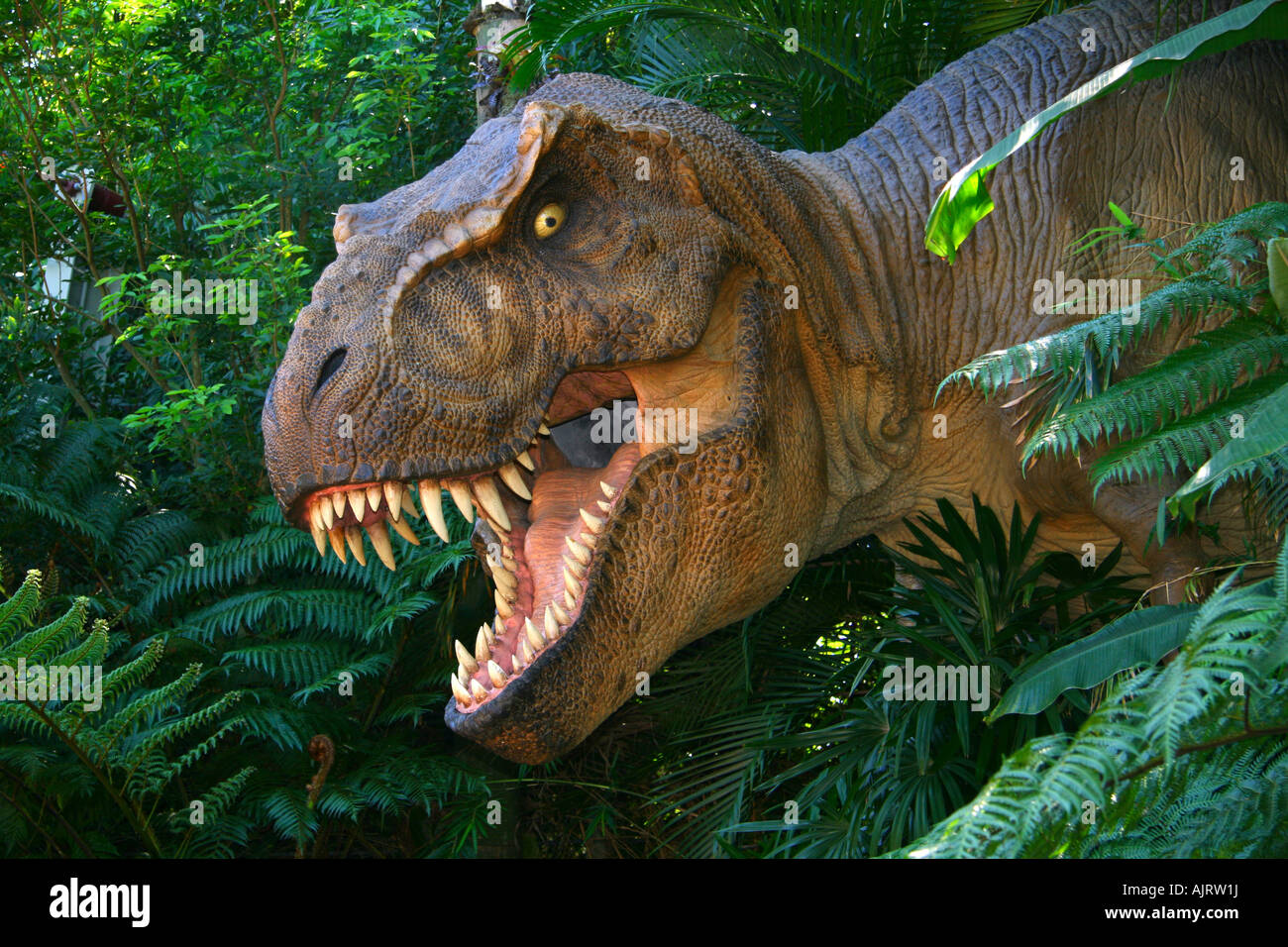 T-rex Stockfoto