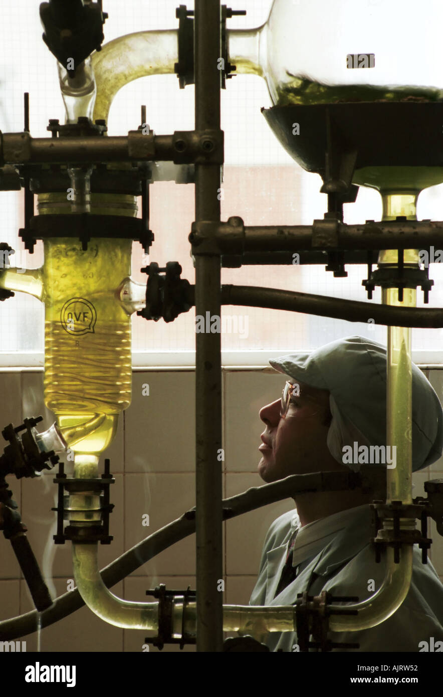 Arbeiter in einer Fabrik Essenz in Wellingborough, Northants. Stockfoto