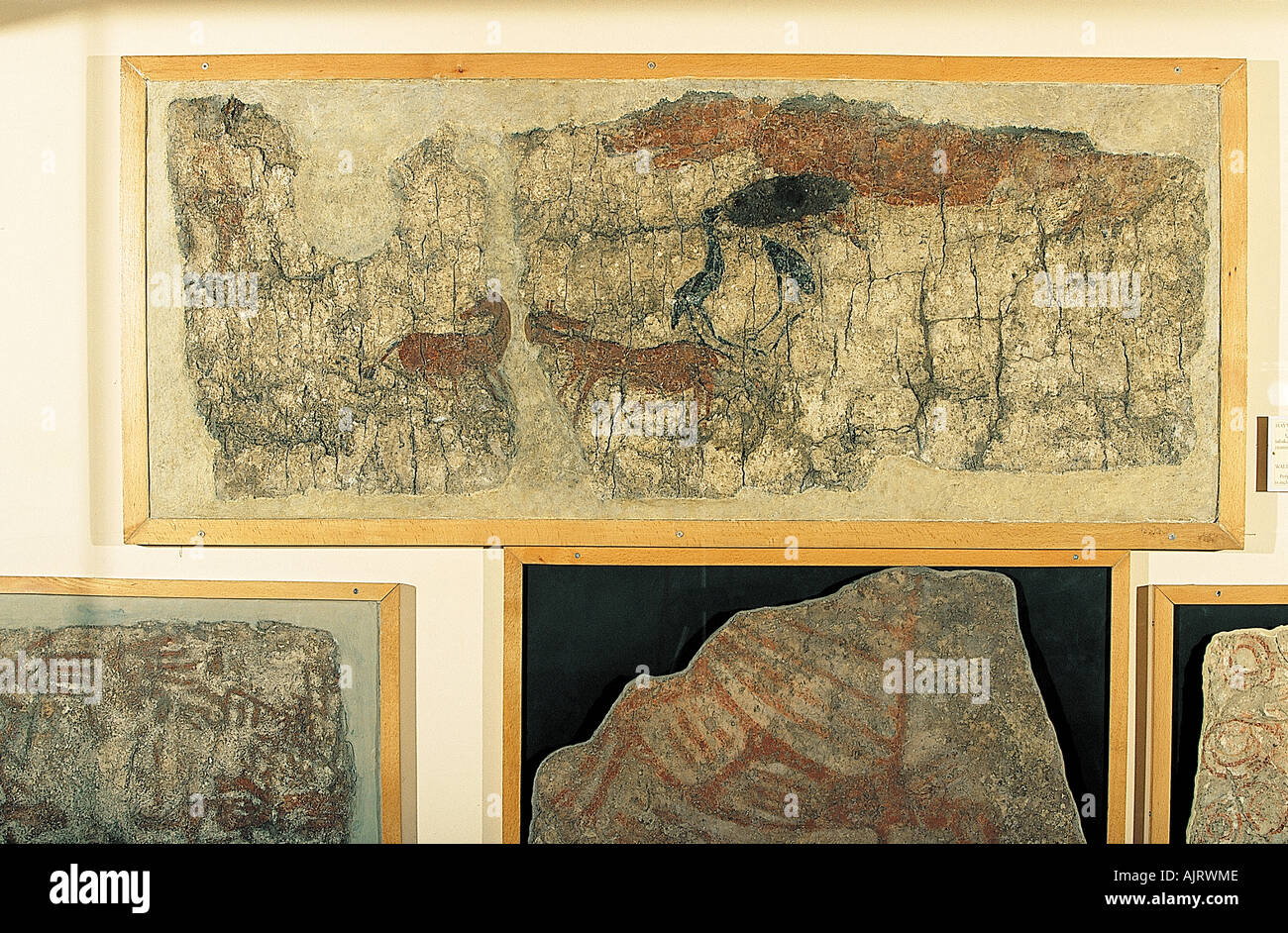 Kodlarsiz katta siklar bilan qattiq sikish