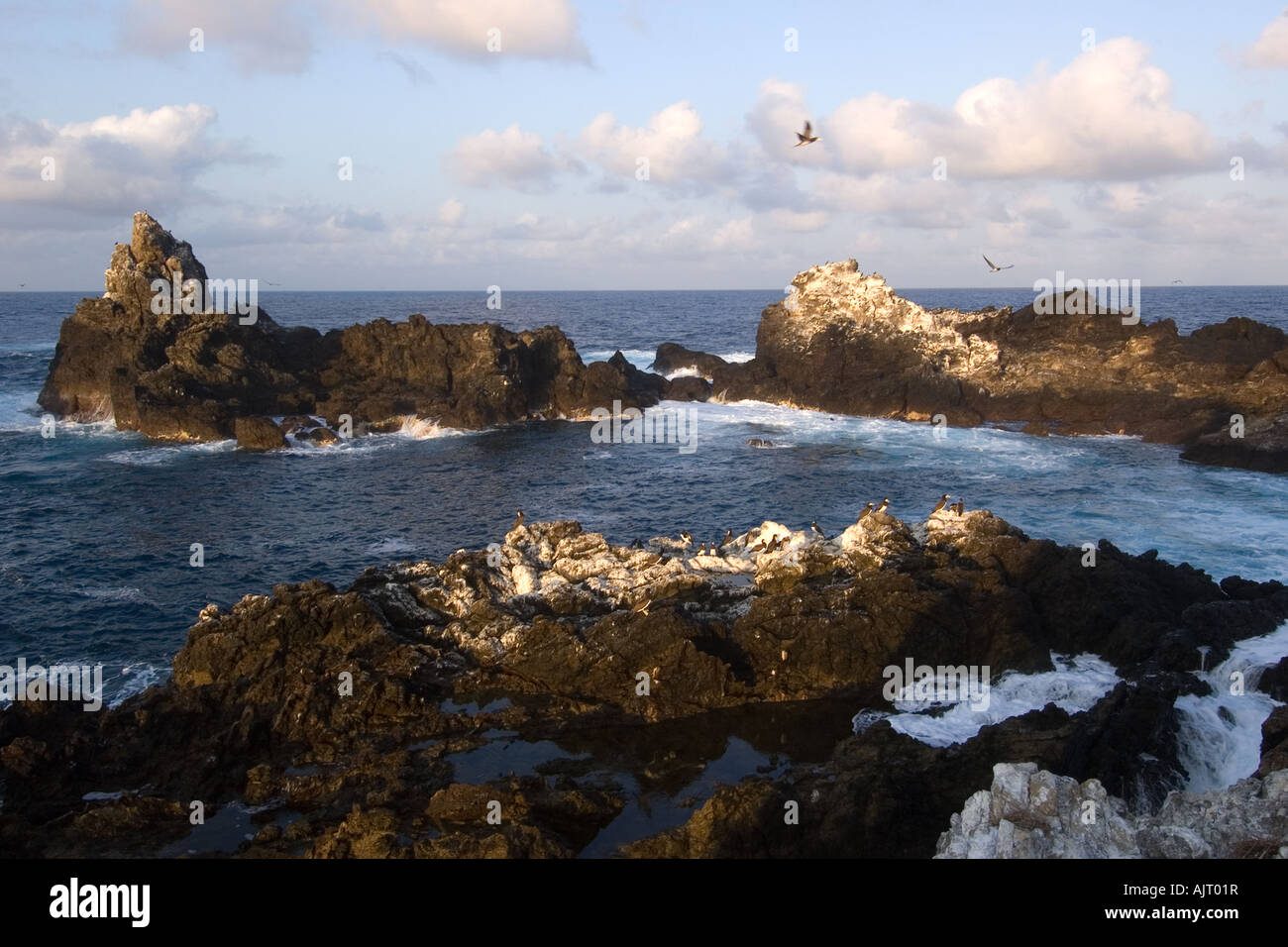 Enseada Bucht St. Peter und St. Paul s rockt Atlantik Brasilien Stockfoto