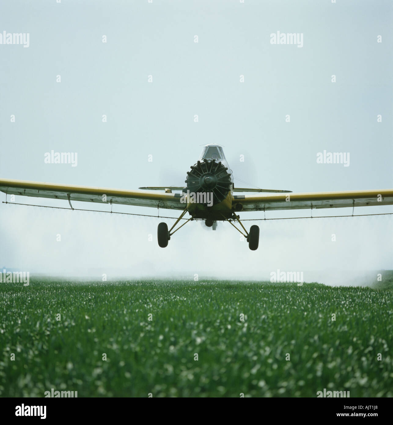 Soor Commander Flugzeuge sprühen junge Weizenernte im Norden Kent Marsh Ackerland Stockfoto