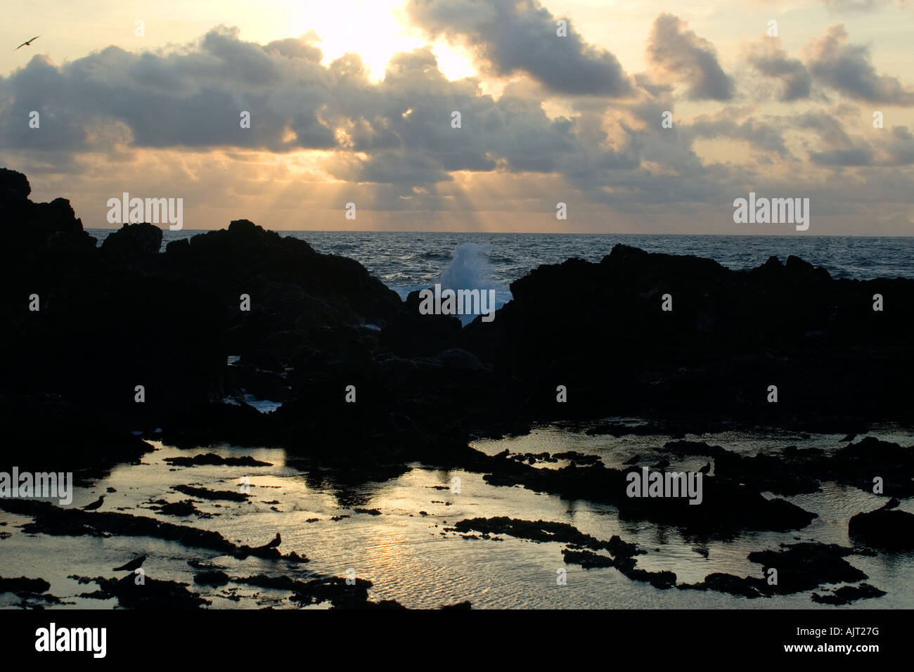 Wellen in der Nähe von tide Pool im Morgengrauen St. Peter und St. Paul s Felsen Atlantik Brasilien Stockfoto