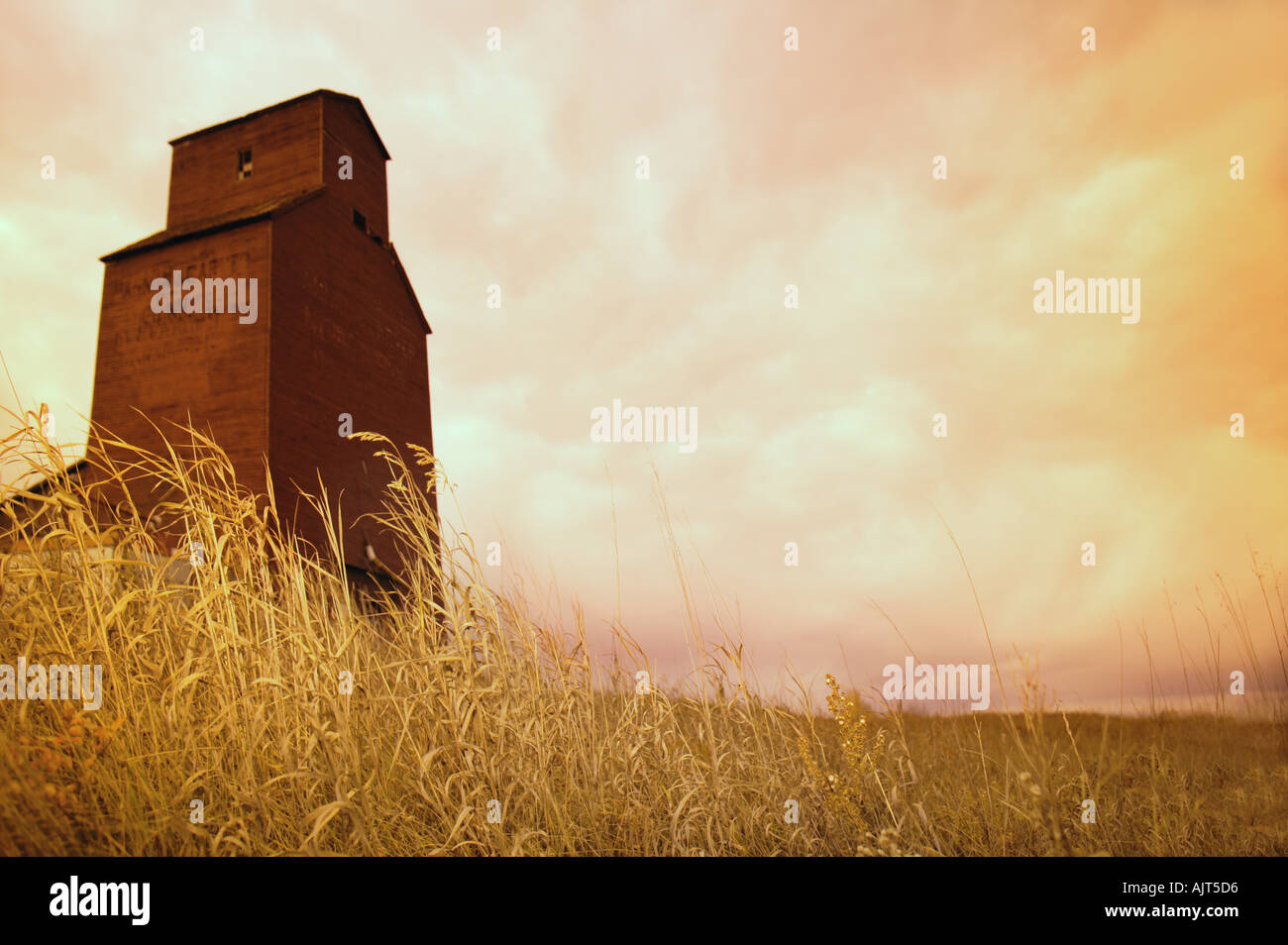 Grain elevator Stockfoto