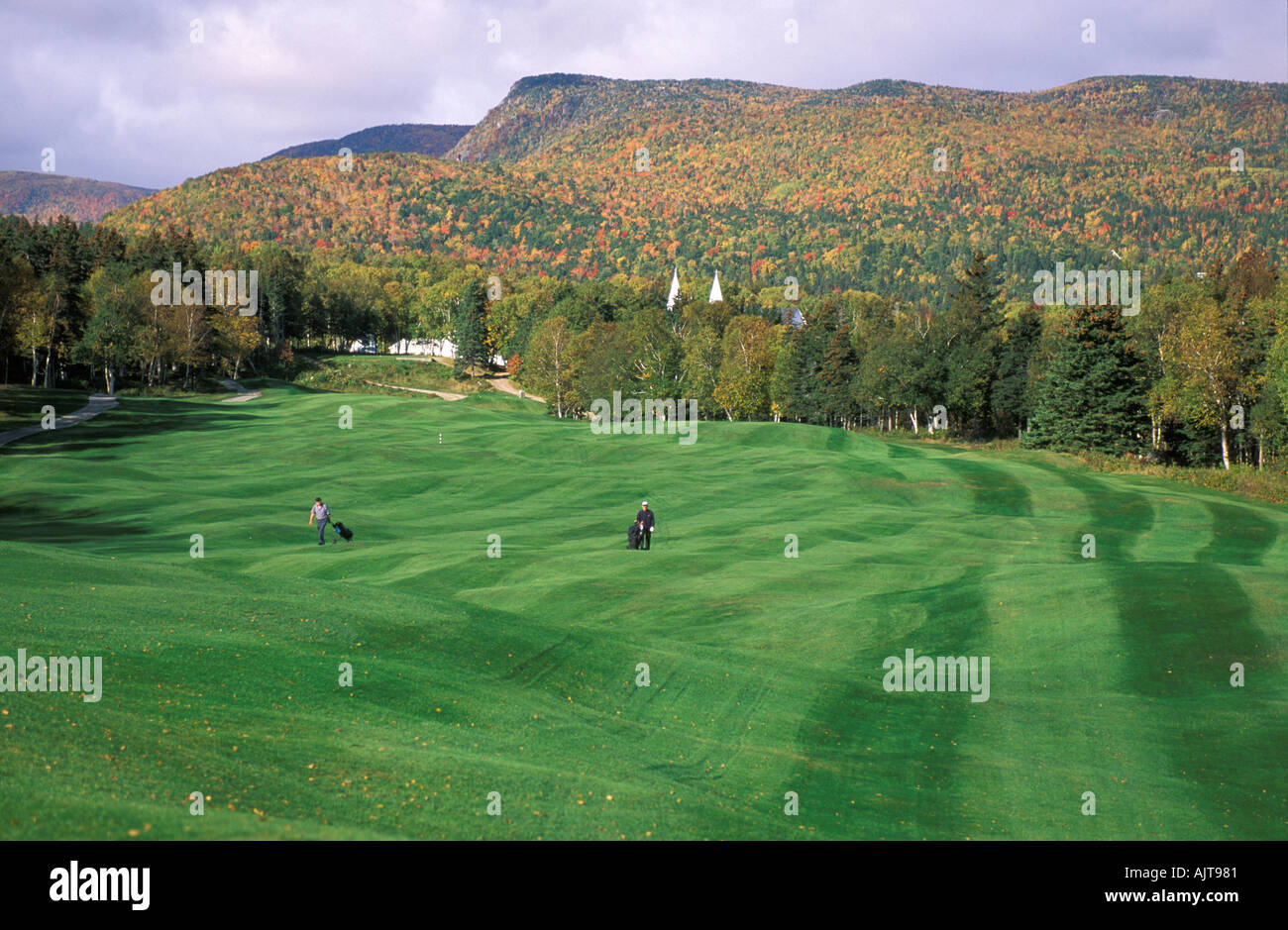 Highland Links-Golfplatz bei Celtic Lodge, Nova Scotia, Kanada Stockfoto