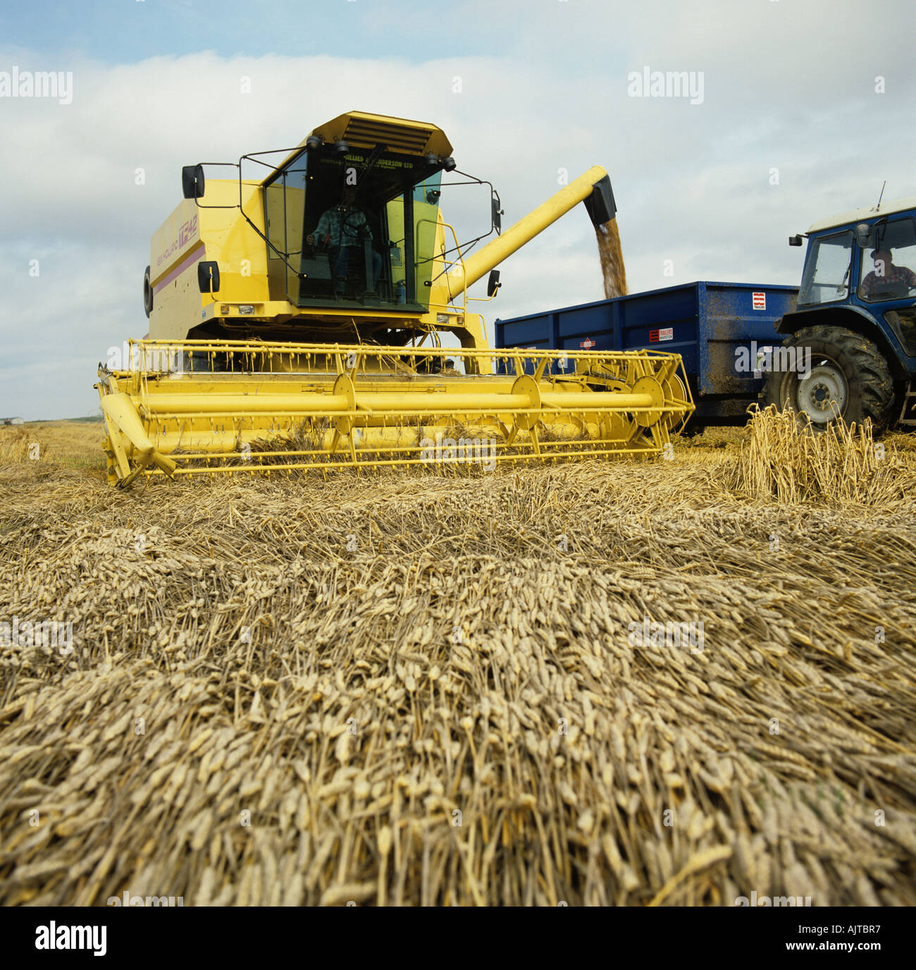 New Holland zu verbinden versucht, stark eingelegte Weizen-Getreide ernten Stockfoto