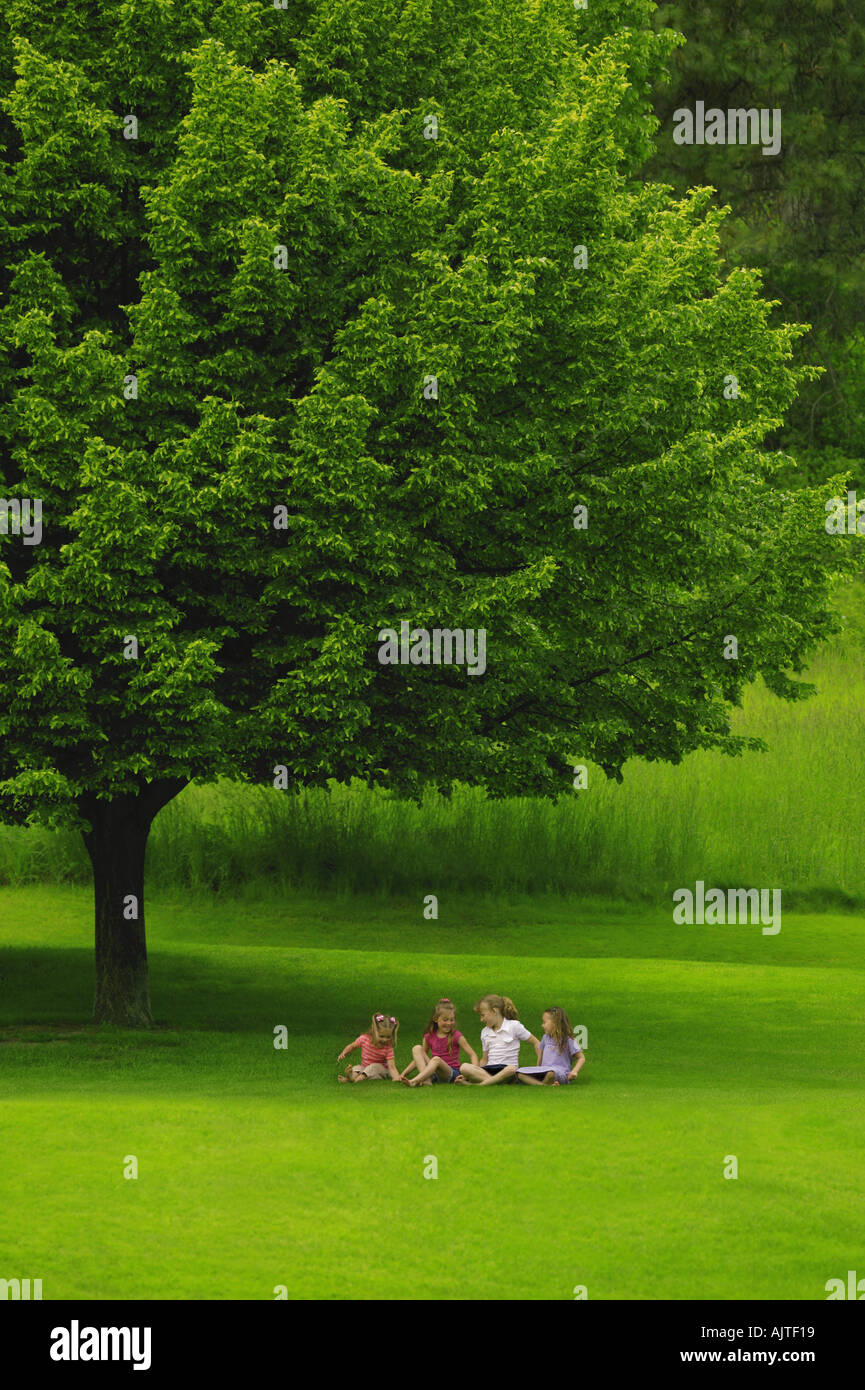 Vier junge Freunde unter einem Baum Stockfoto