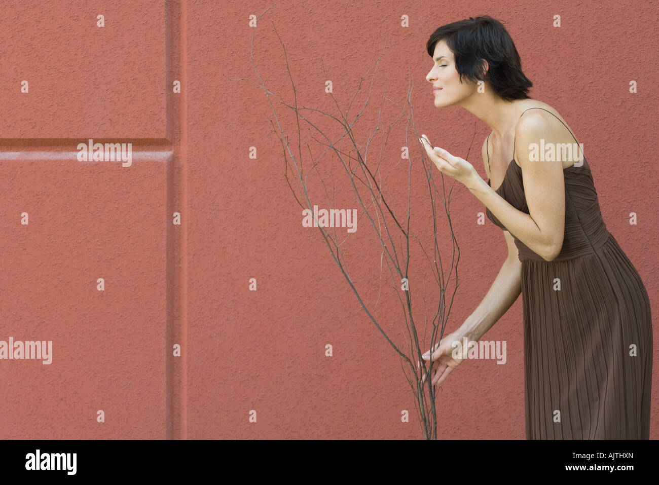 Brünette Frau berühren und riechen nackten Bäumchen, rote Wand im Hintergrund, Seitenansicht, drei Viertel Länge Stockfoto
