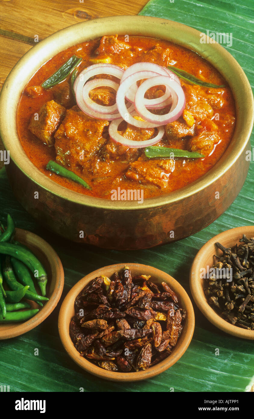 Indien Essen Vindaloo Curry Goa Stockfoto
