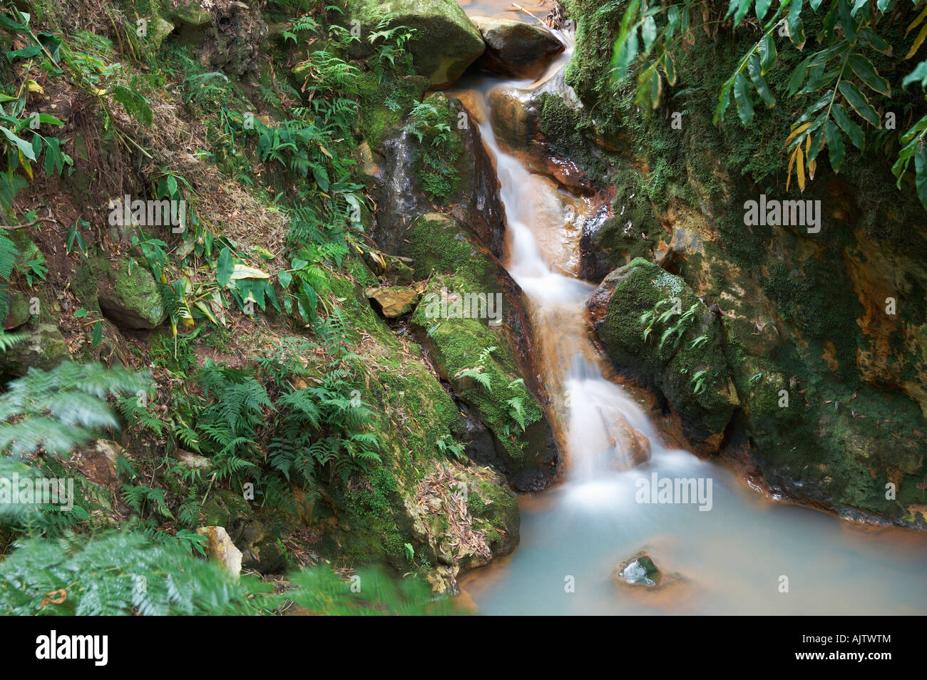 Kleiner Wasserfall in der Nähe von Caldeira Velha, Insel Sao Miguel. Stockfoto