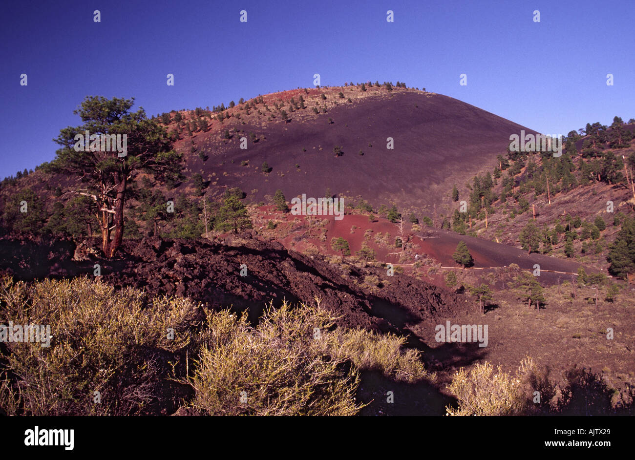 Sunset Crater Volcano bei Sonnenuntergang, Arizona, USA Stockfoto