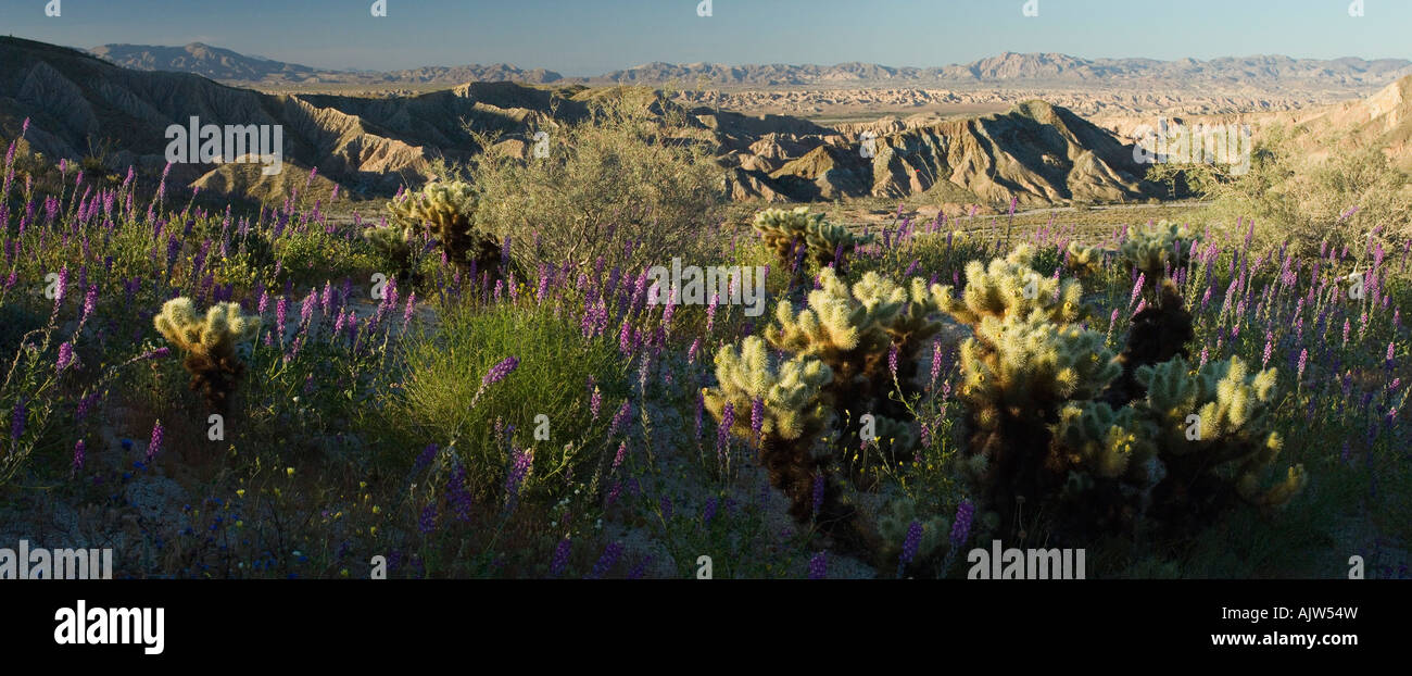 Carizzo Ödland Stockfoto