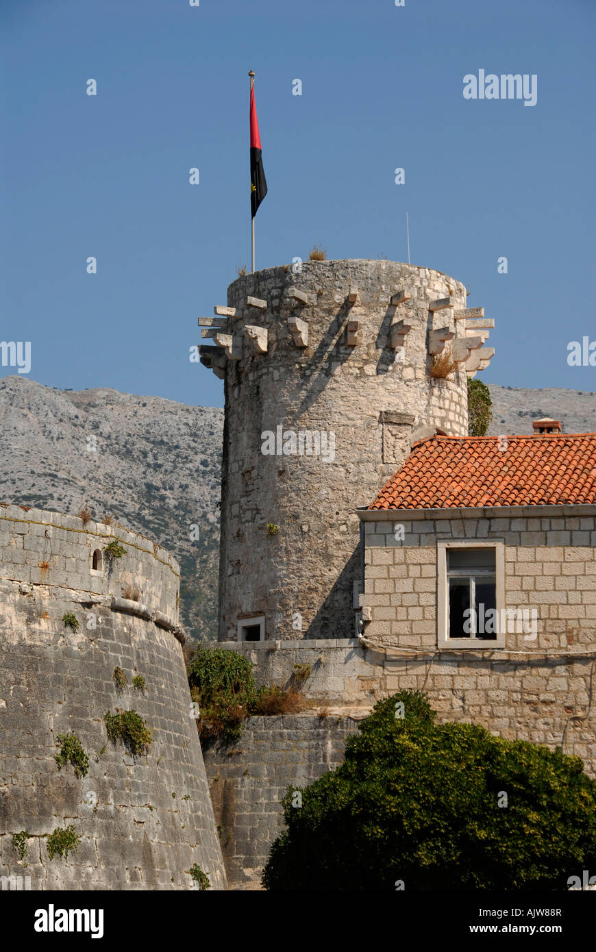 Rundturm Stadtmauer Korcula Stadt Korcula Insel Dalmatien Kroatien Stockfoto