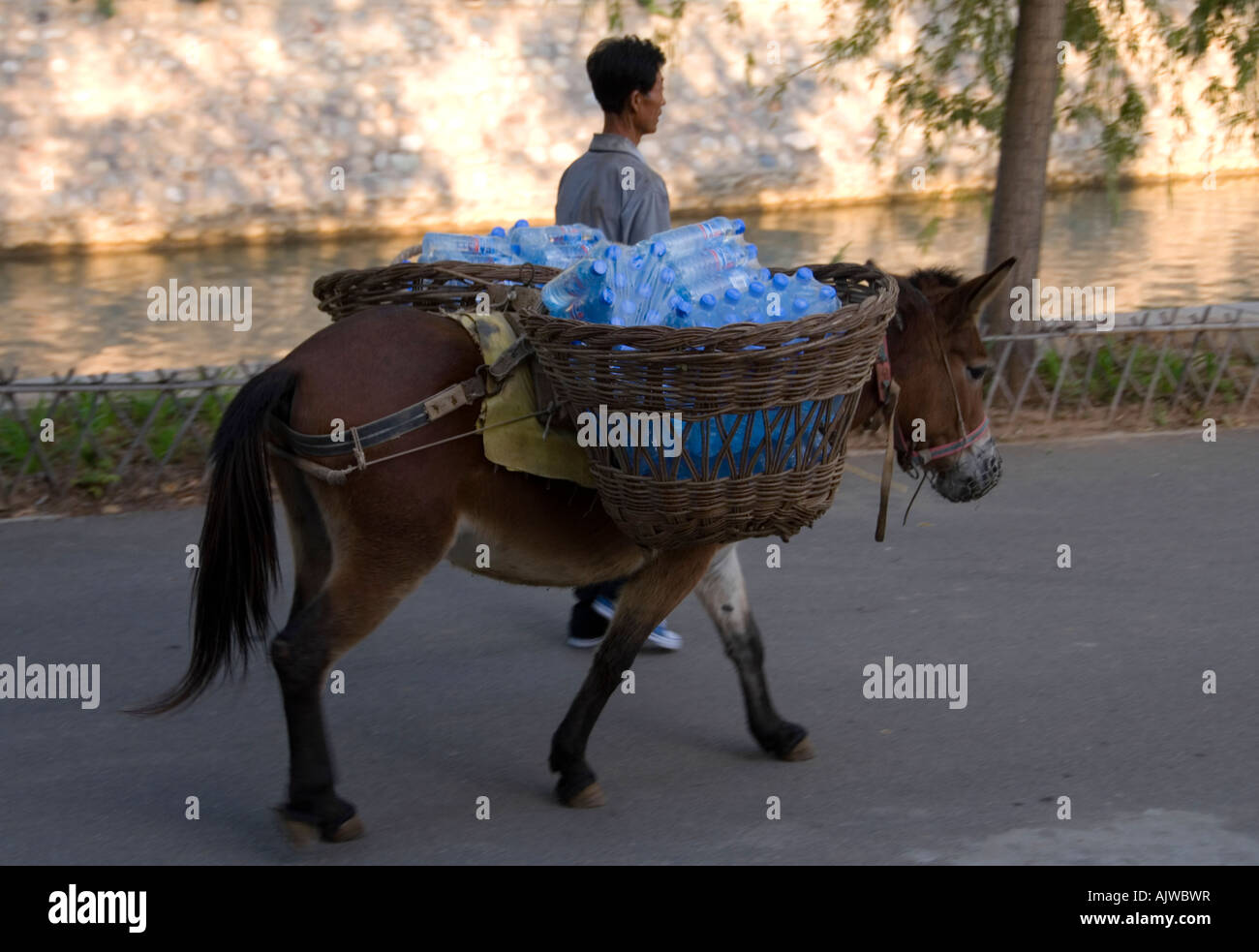 Ein Esel als ein Wasserträger in China betreuen. Stockfoto