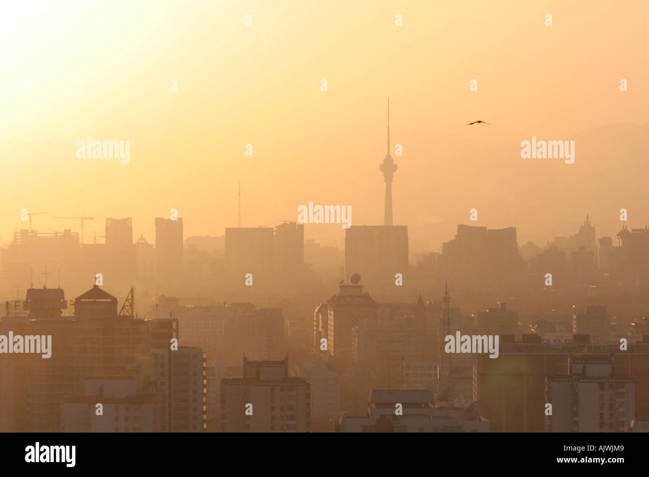 Ein Blick über die Dächer im Zentrum Pekings, darunter die China Central TV-Turm. Stockfoto