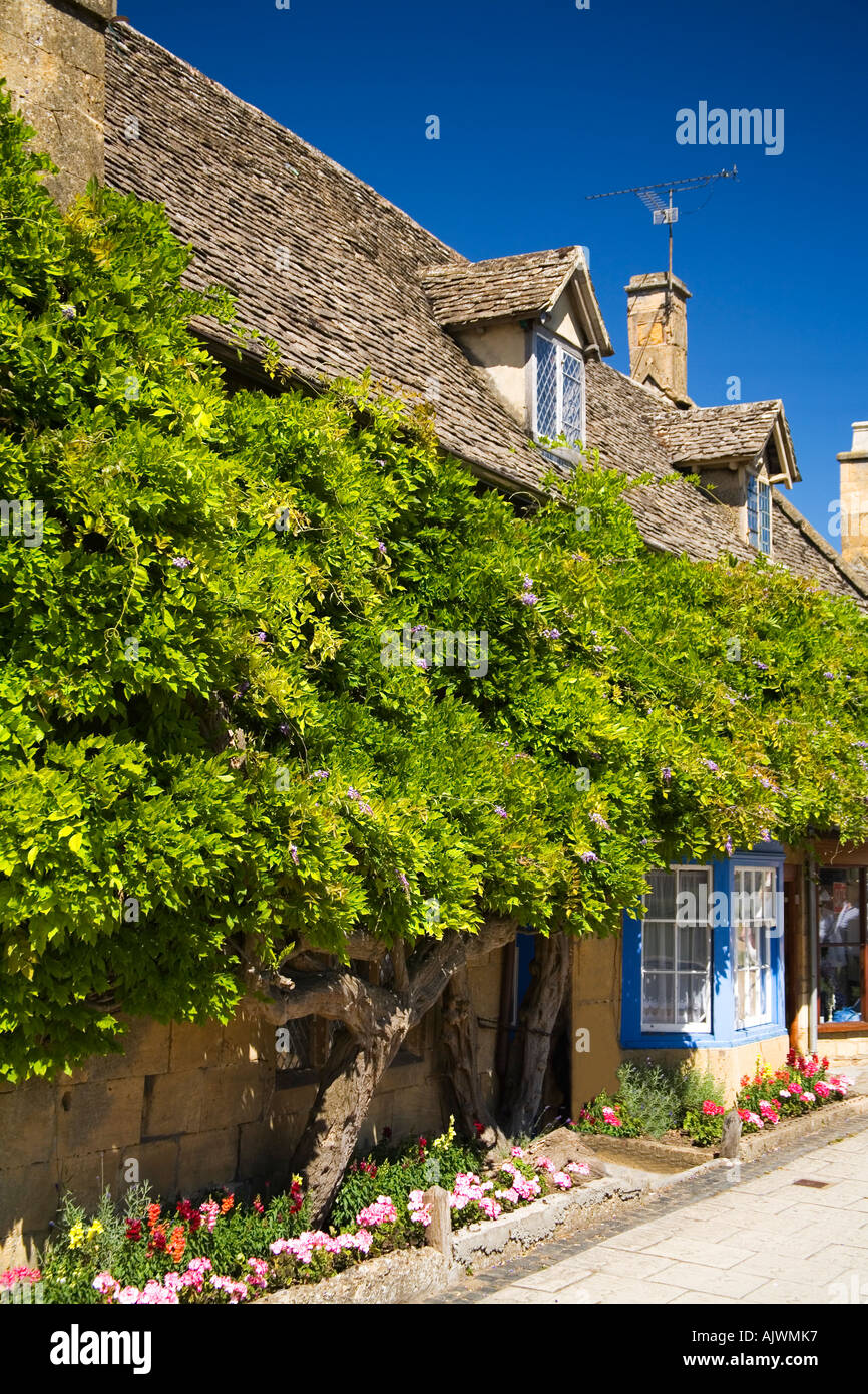 Traditionelle Cotswold Steinhütten bedeckt Glyzinie im englischen Dorf von Broadway in Sommersonne Worcestershire UK GB Stockfoto