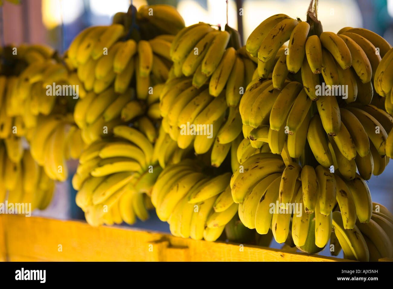 Marokko, Atlantikküste, TAMRI: Lokale Bananen zu verkaufen Stockfoto